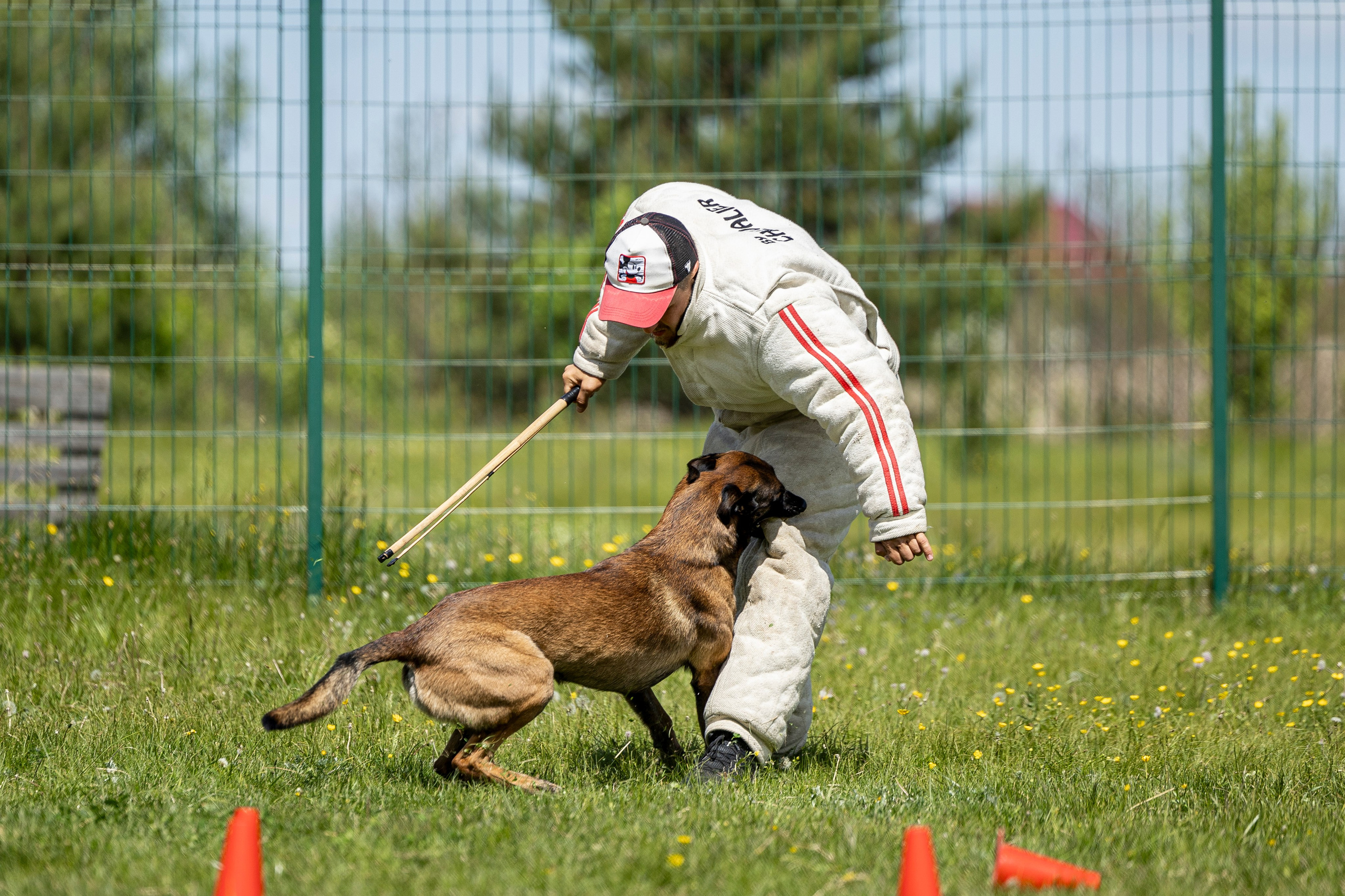 Испытания по мондьорингу в Нижнем Новгороде. Фотограф-анималист Анна Маринич