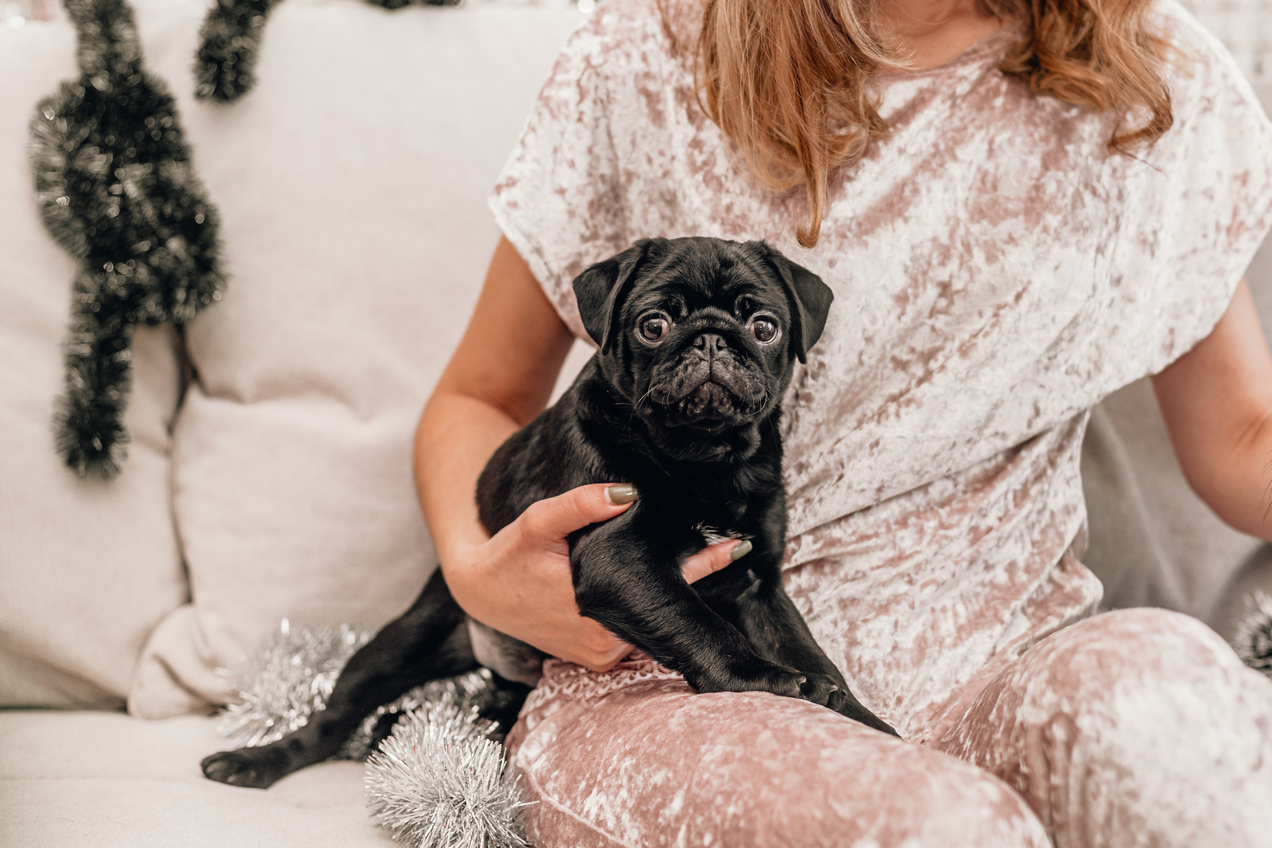 Домашняя фотосессия Оли и двух ее мопсов. Фотограф-анималист Татьяна Степанова