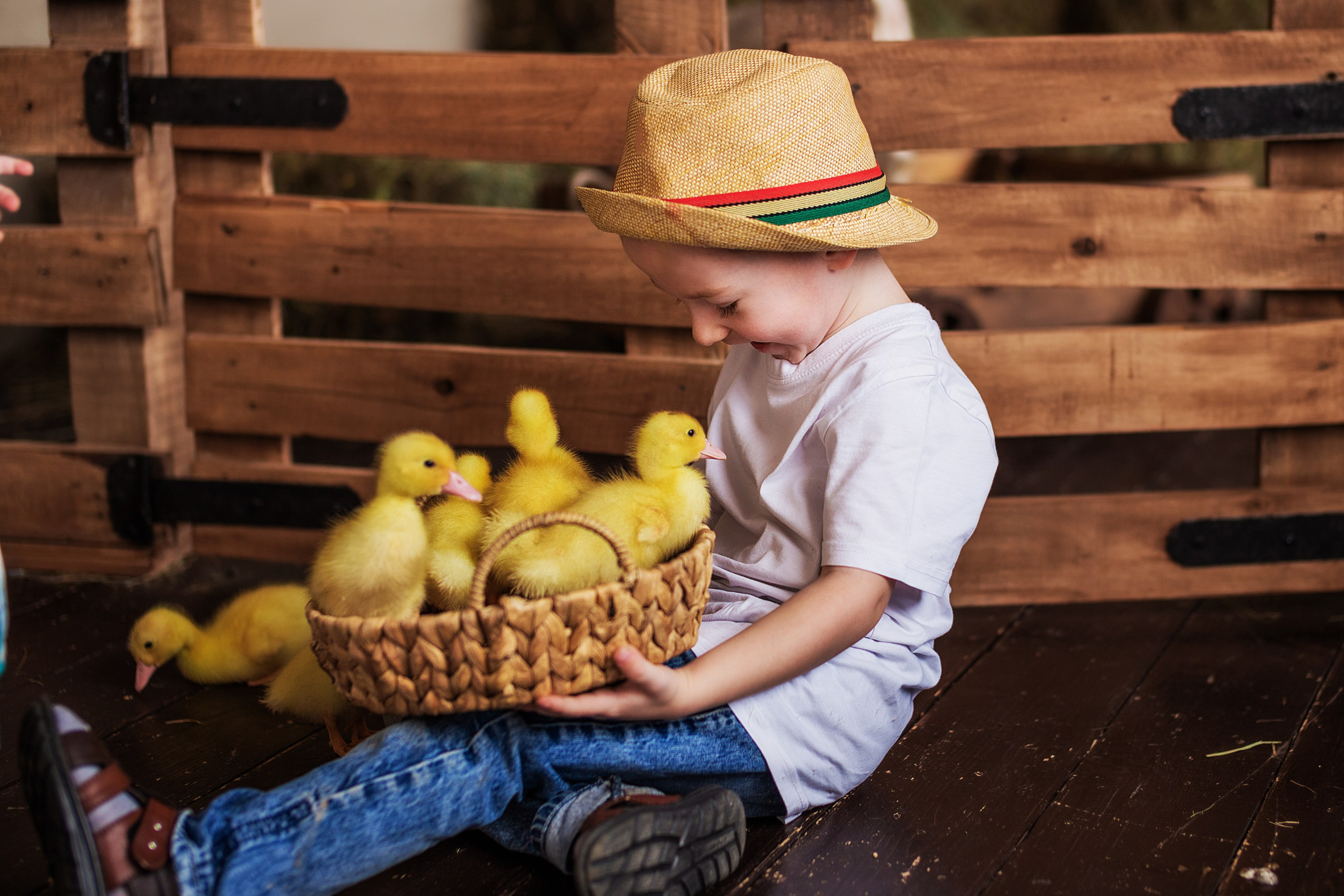 Дети и животные…самый милый альбом. Семейный фотограф в Саратове
