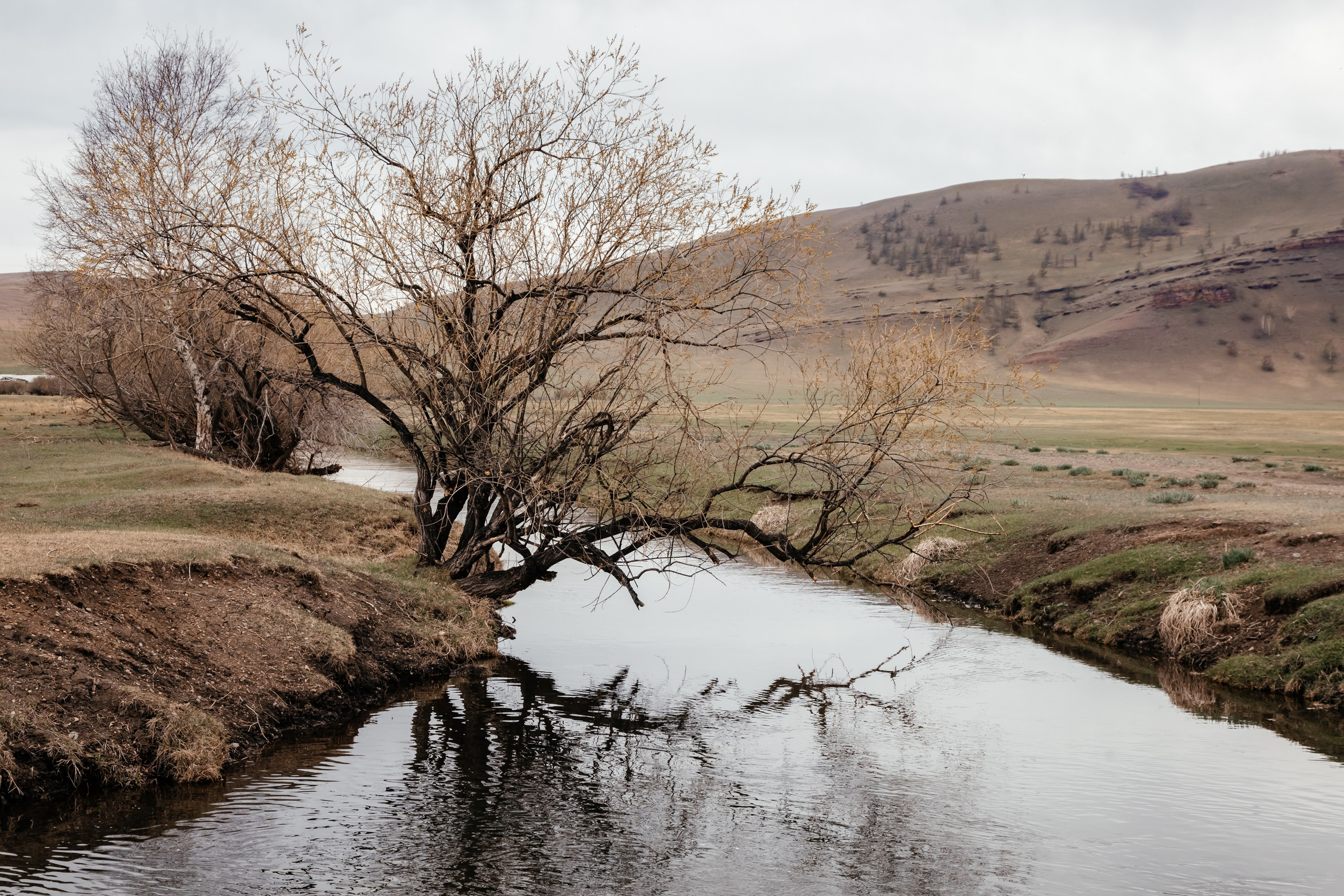 Хакассия. Фотограф в Красноярске Оксана Корчагина