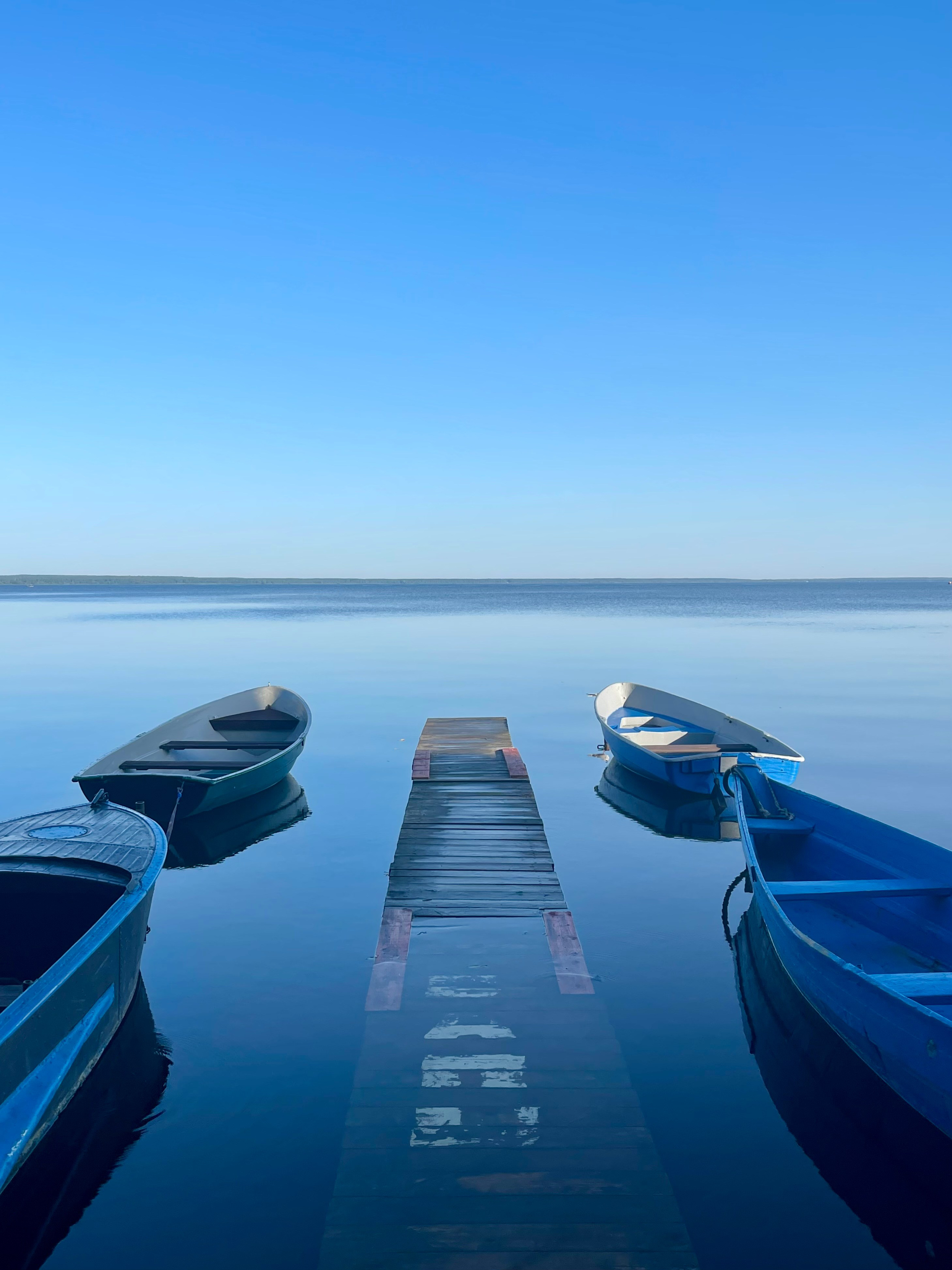 Переславль-Залесский. Wildlife photography by Sergey Puponin