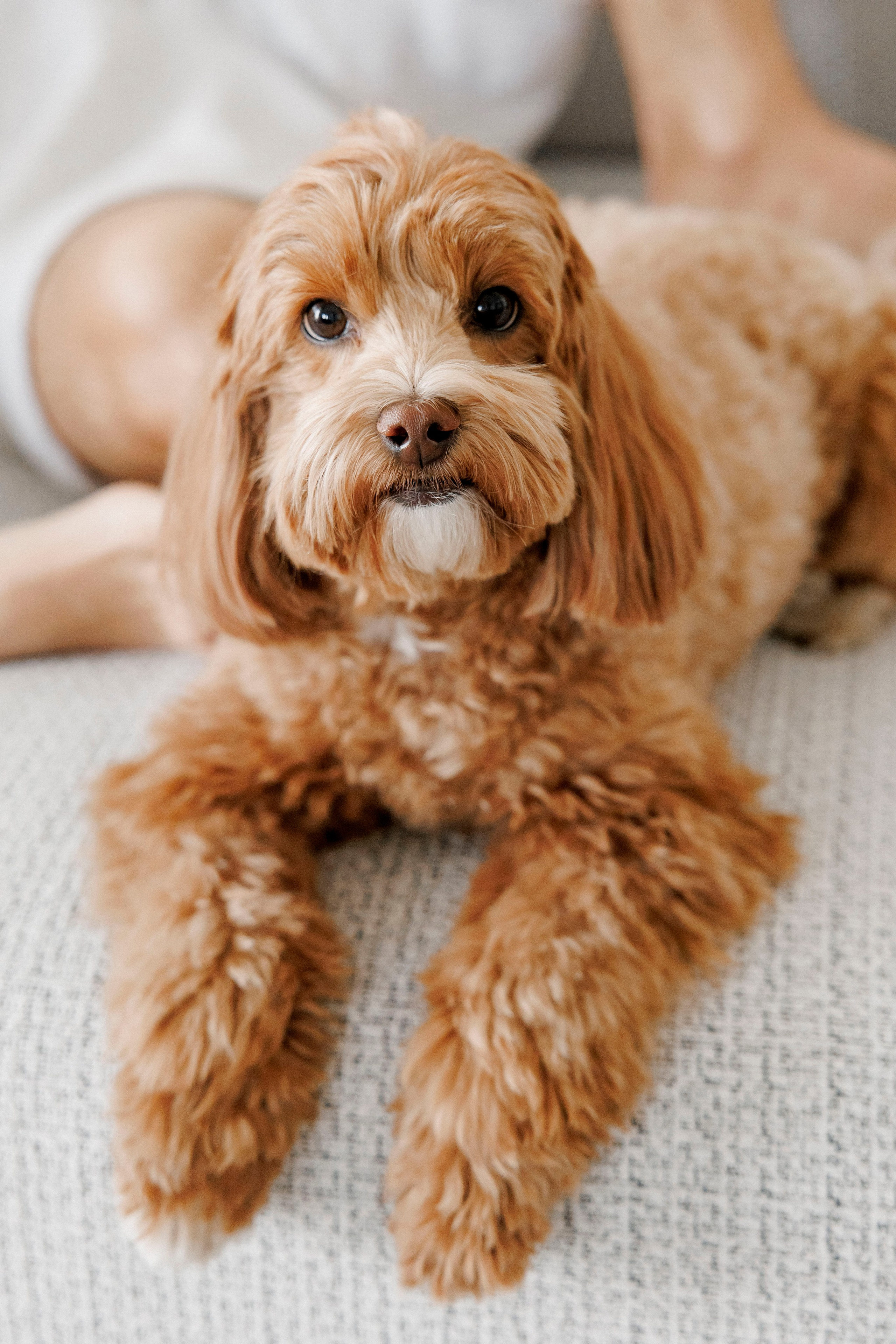 One year old at home. Wedding and family photographer