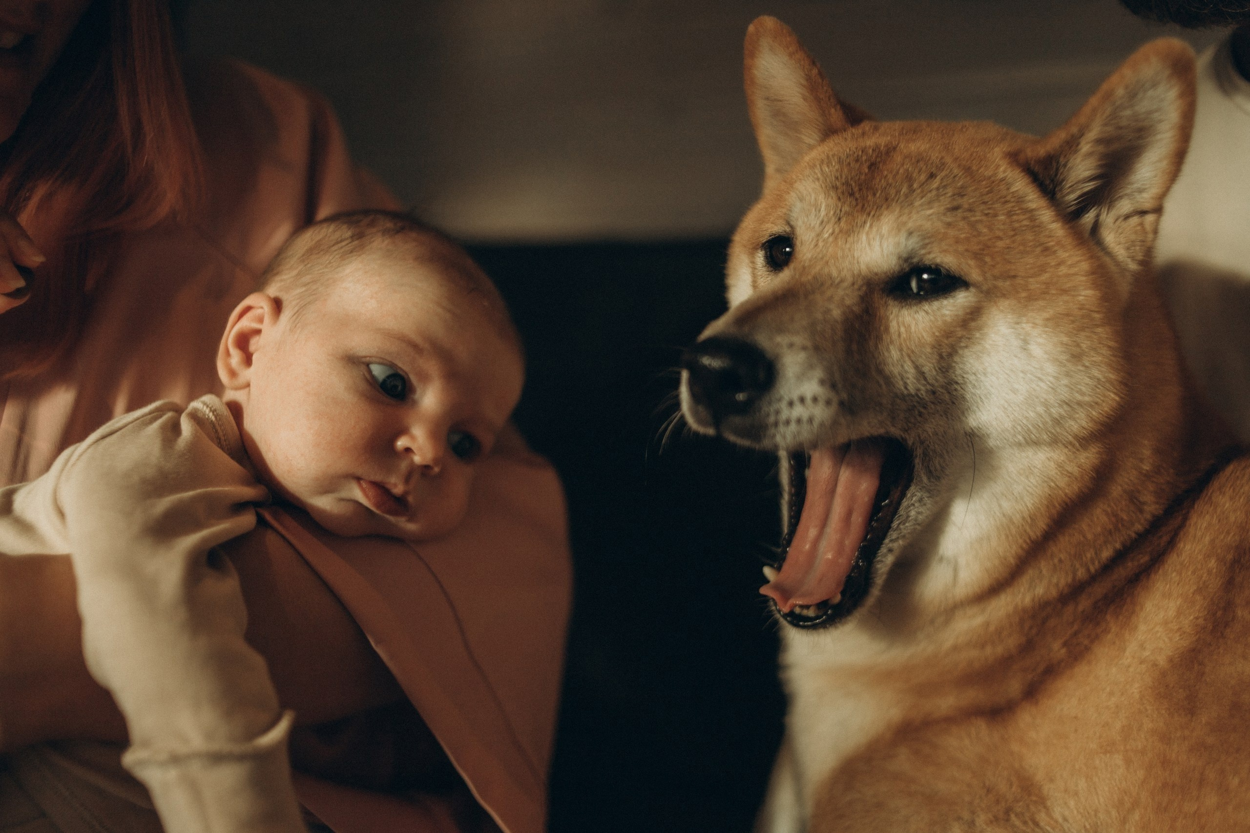Мария Пошемянская. Фотограф в России, Семейный фотограф, репортажный фотограф, детский фотограф, портретный фотограф, контент фотограф, универсальный фотограф
