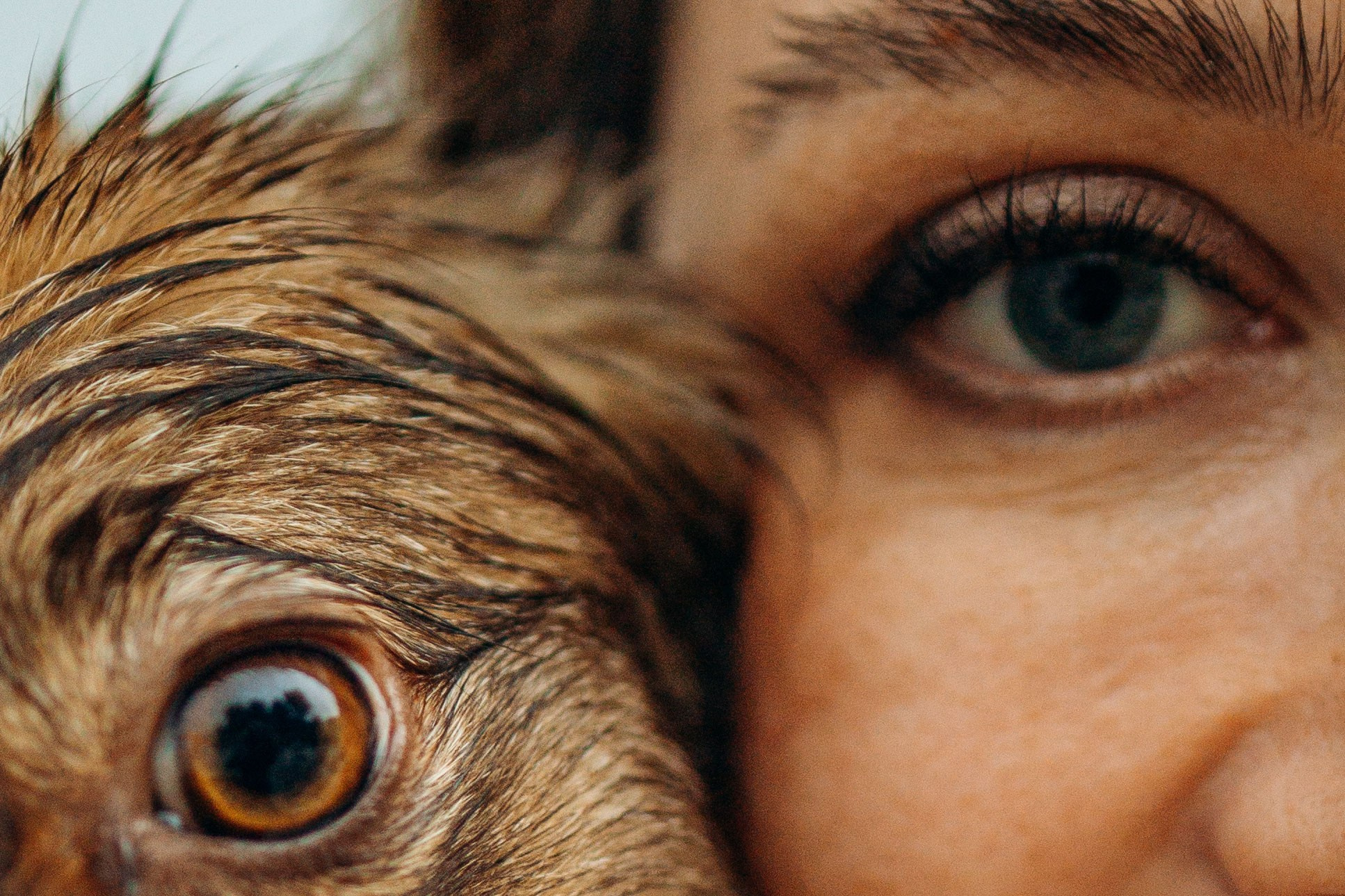 Дарья и Ассоль