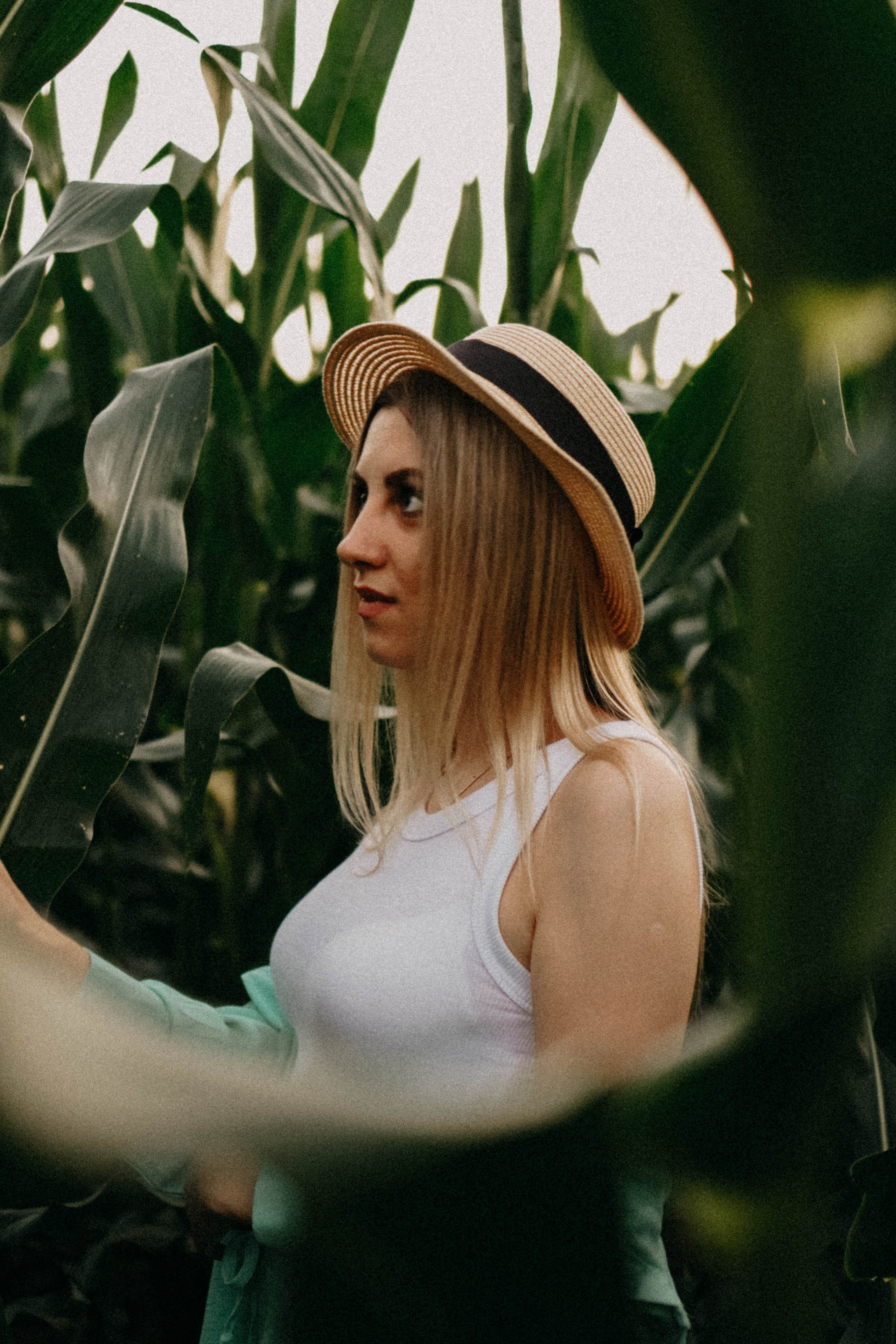 Летний вечер. Профессиональный фотограф, Санкт-Петербург — Виктория Богомолова