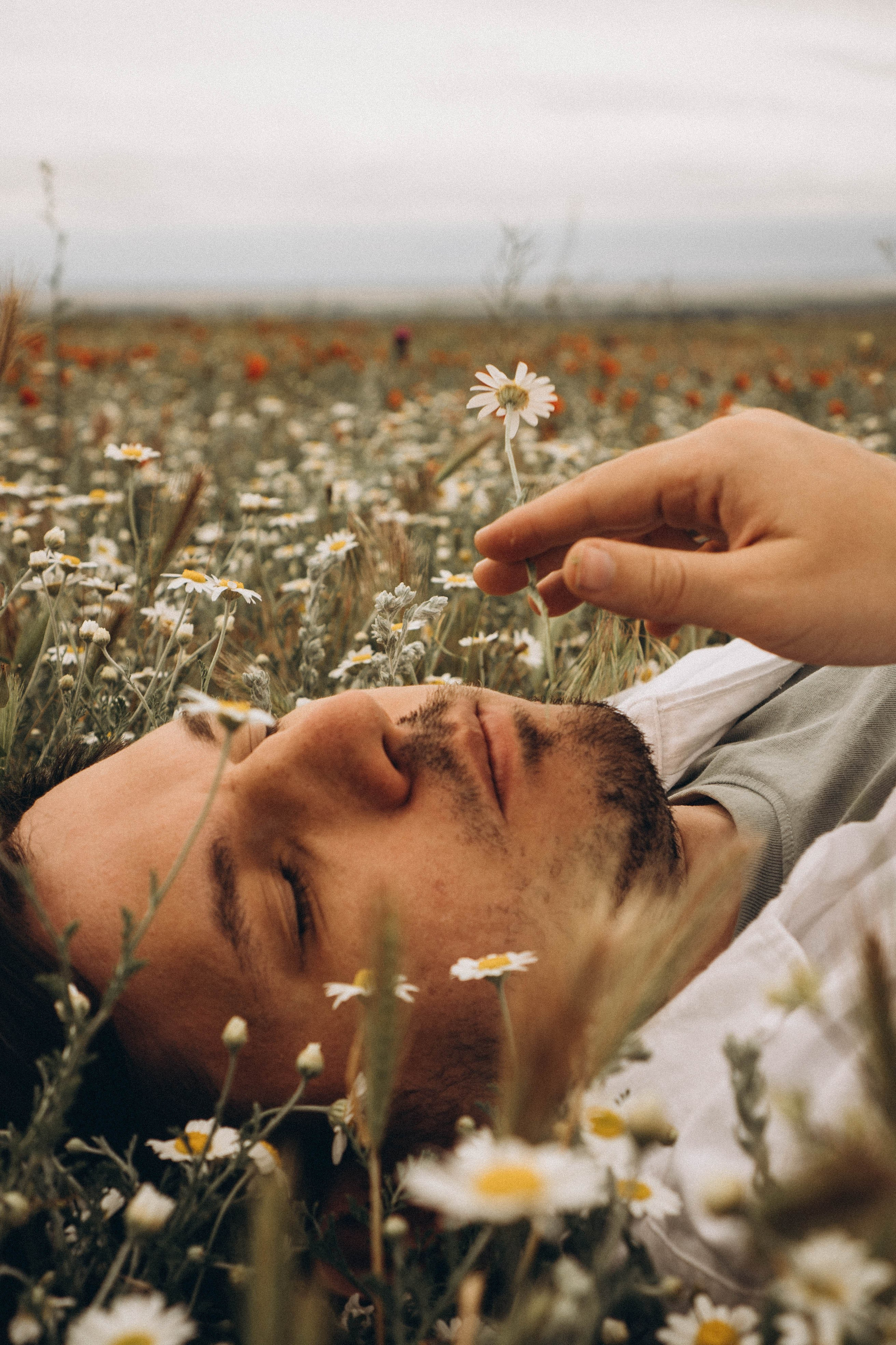 Маки. Профессиональный фотограф, Санкт-Петербург — Виктория Богомолова