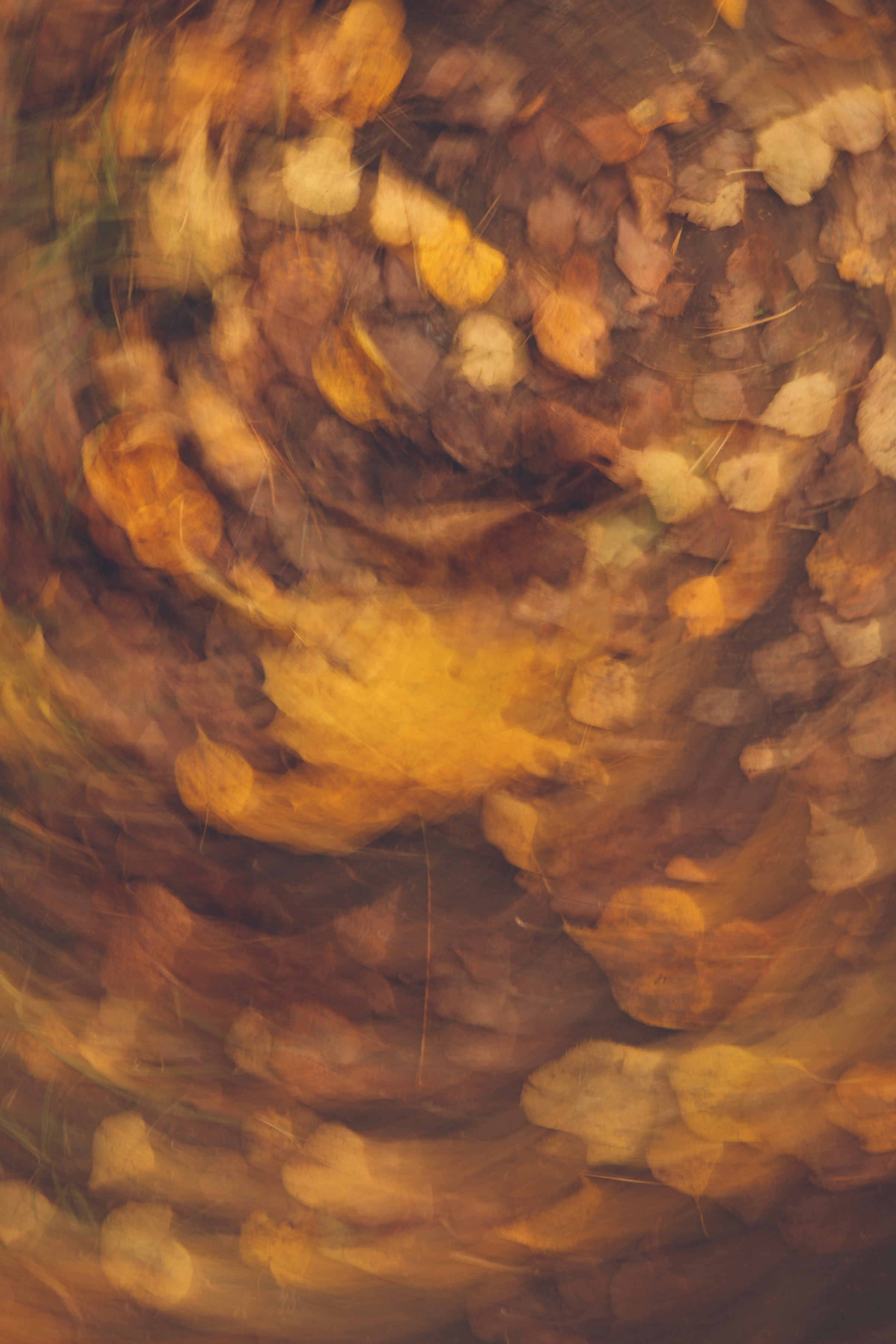 Эксперименты. Фотосессии и репортаж — Фотограф в Москве — Рина Серёгина