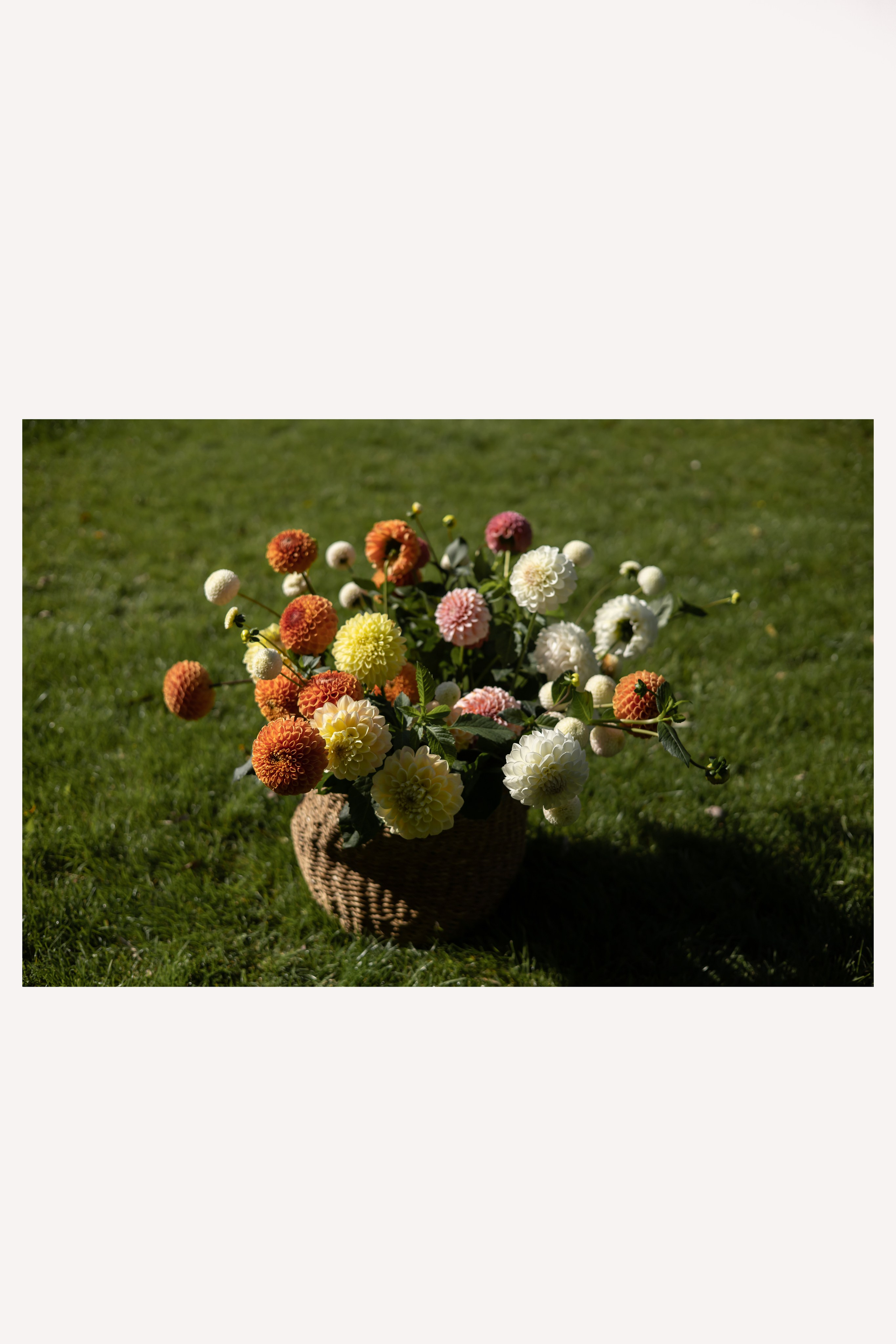 ДИНИЯ. Фотограф Элла Ефимова