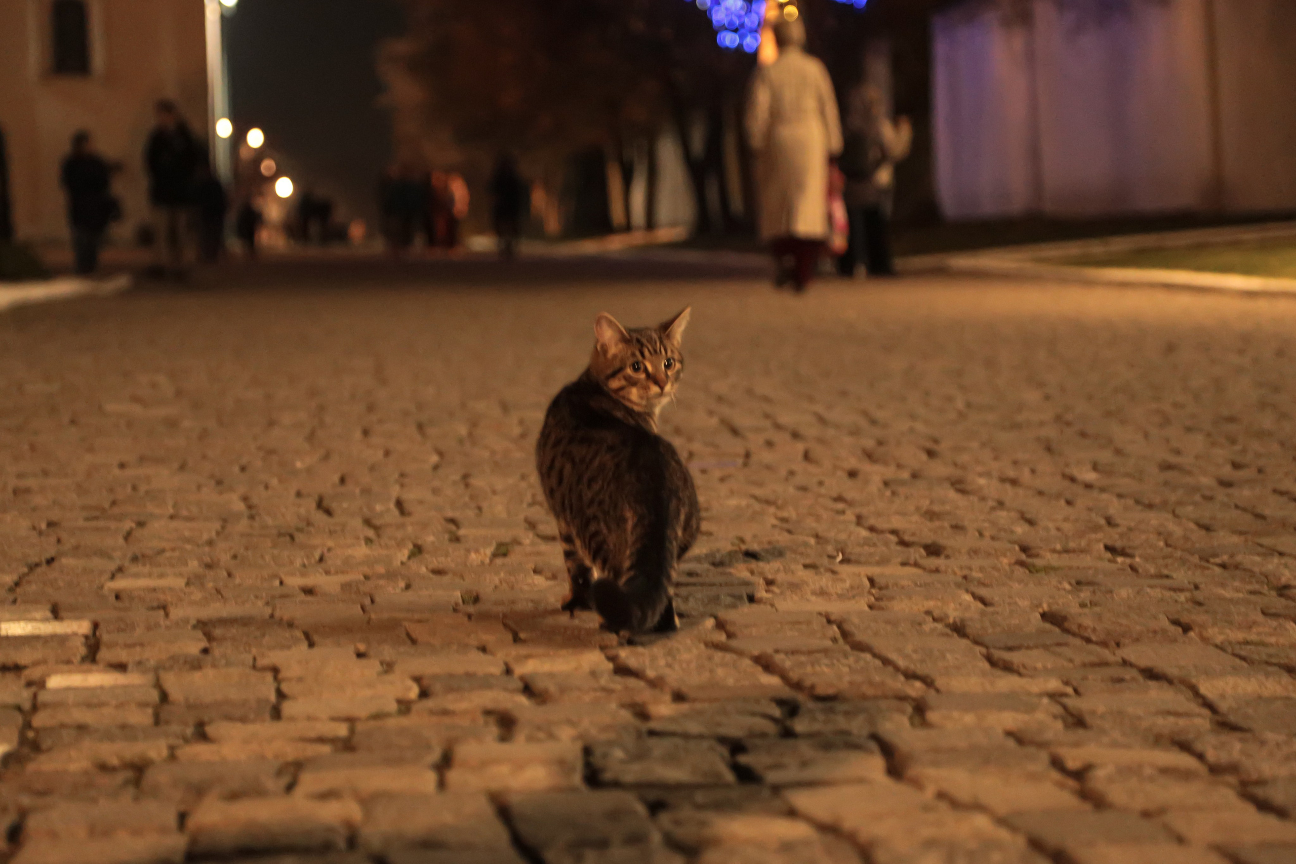 Ночная Коломна. Репортажный фотограф в Москве Агафонова Мария