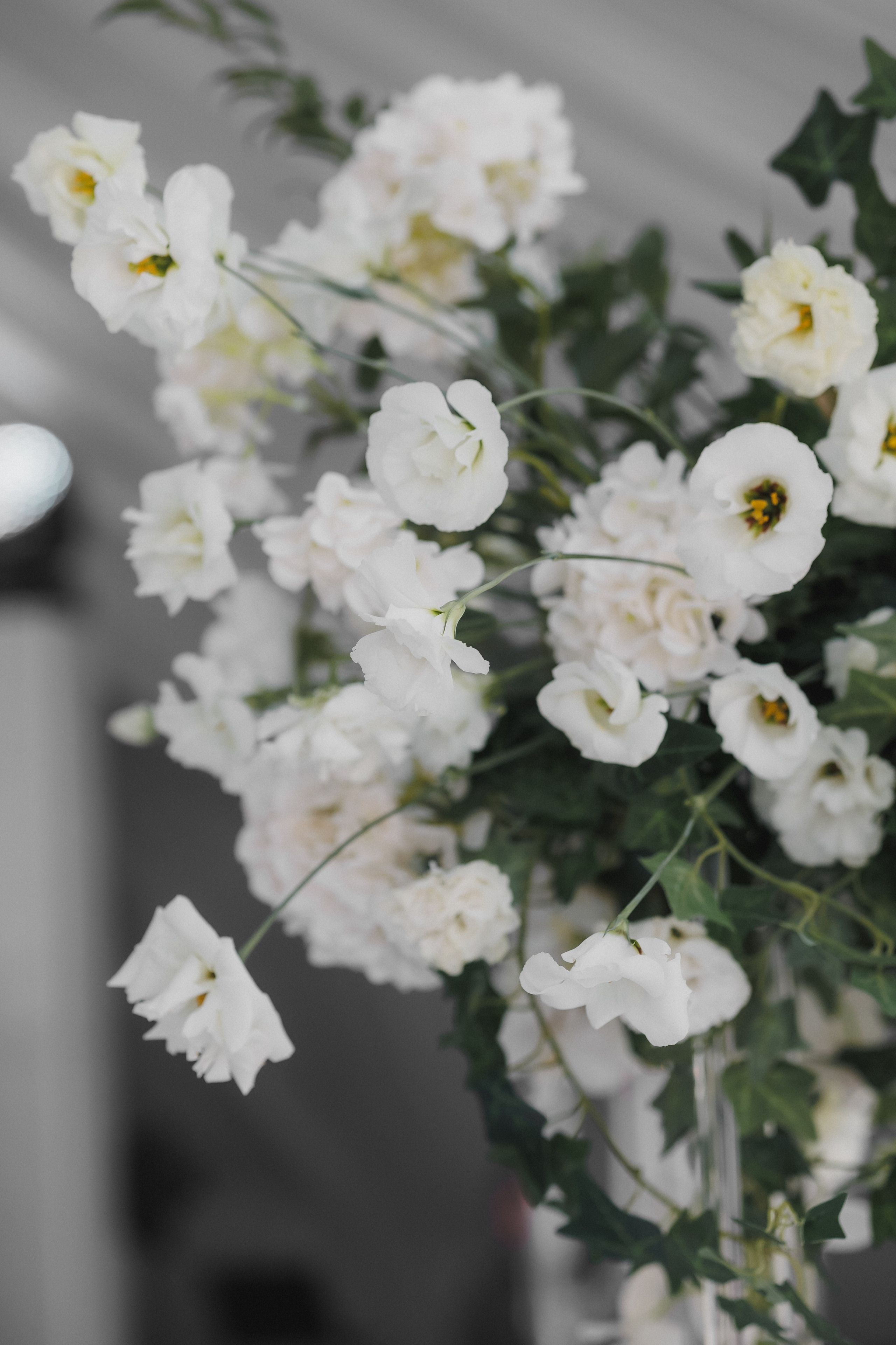 Эдгар и Ульяна. Фотограф в Волгограде — Александра Искандерова