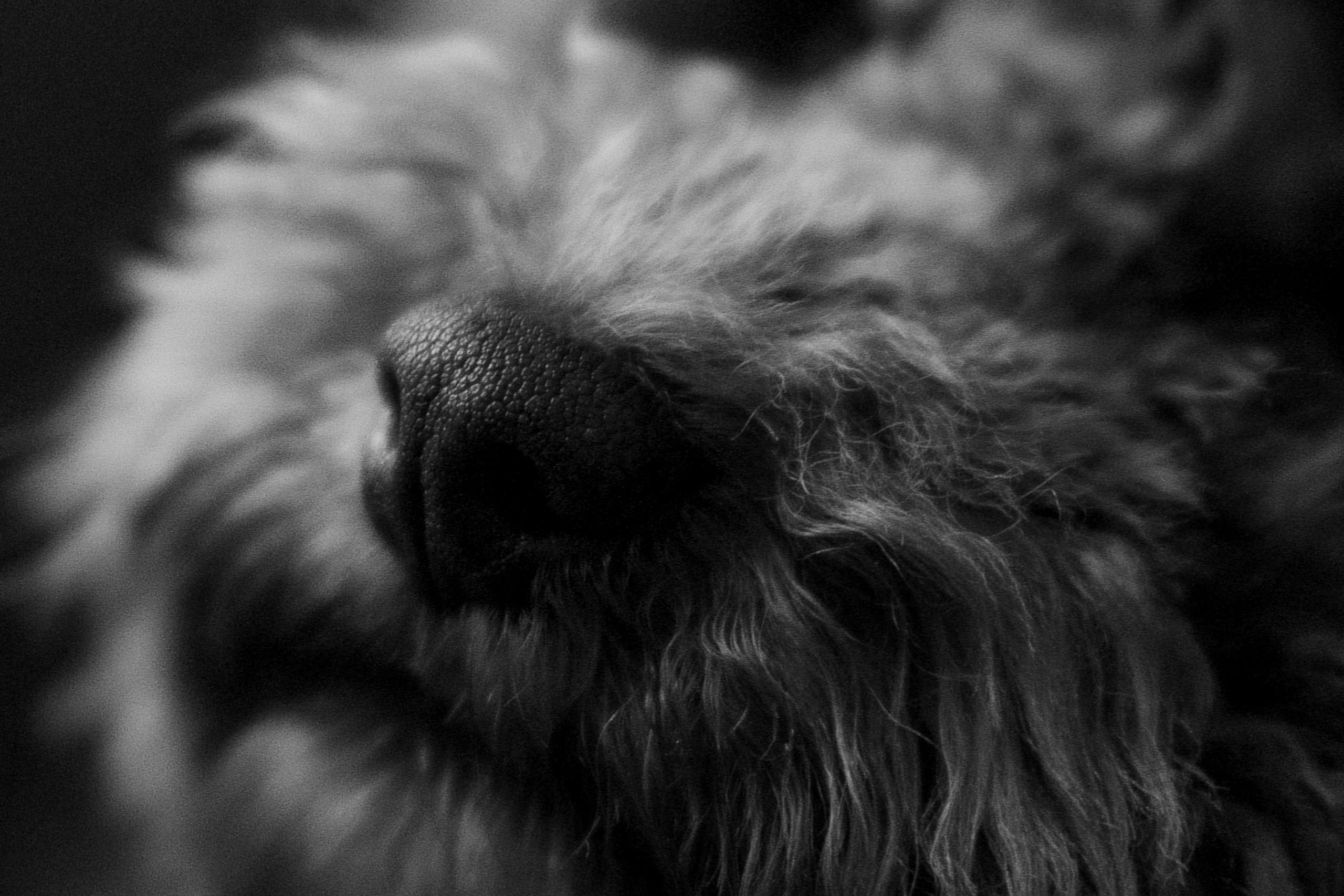 N&T. Vladislav Blinov photographer