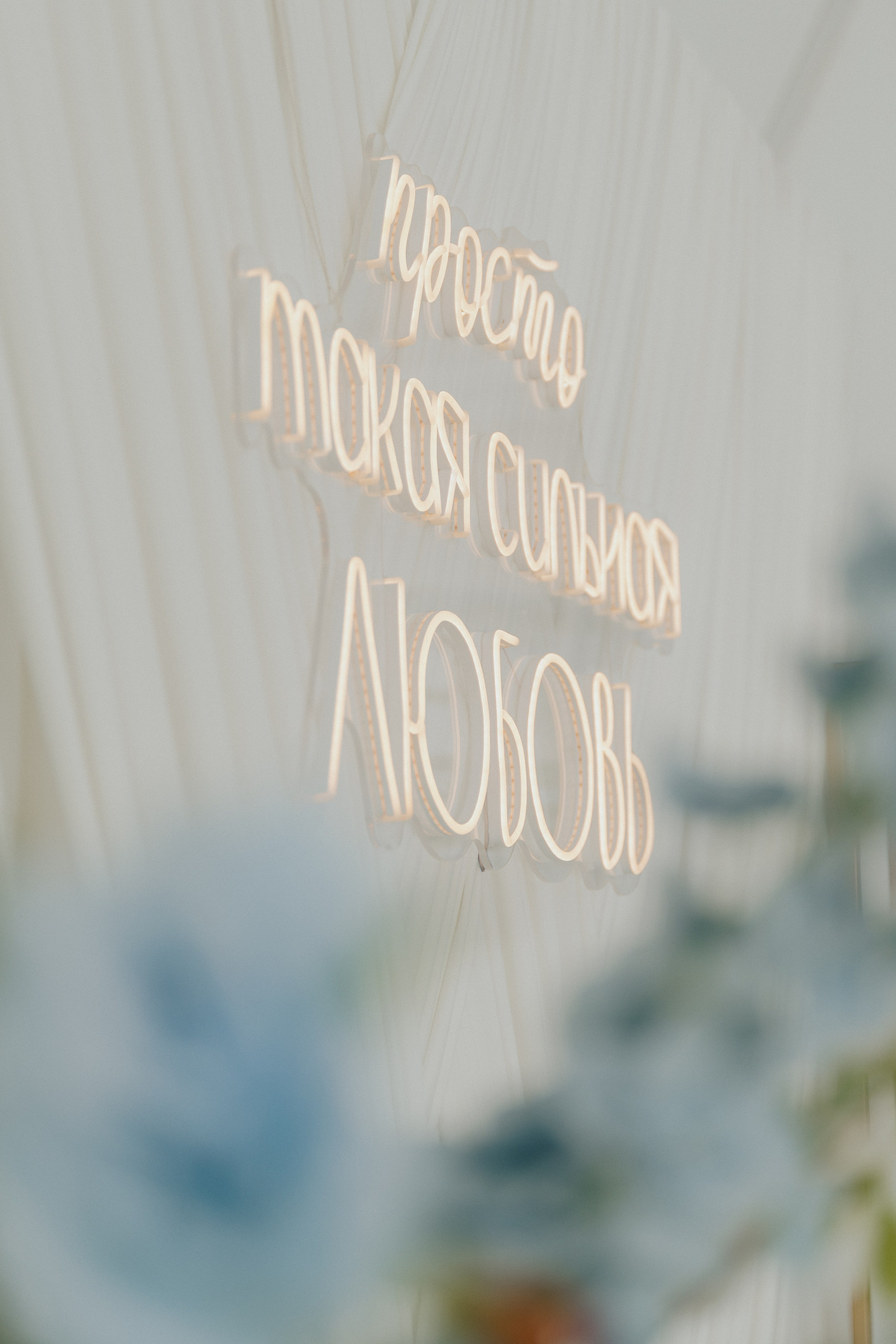 Ангелина & Никита. «Хвоя»