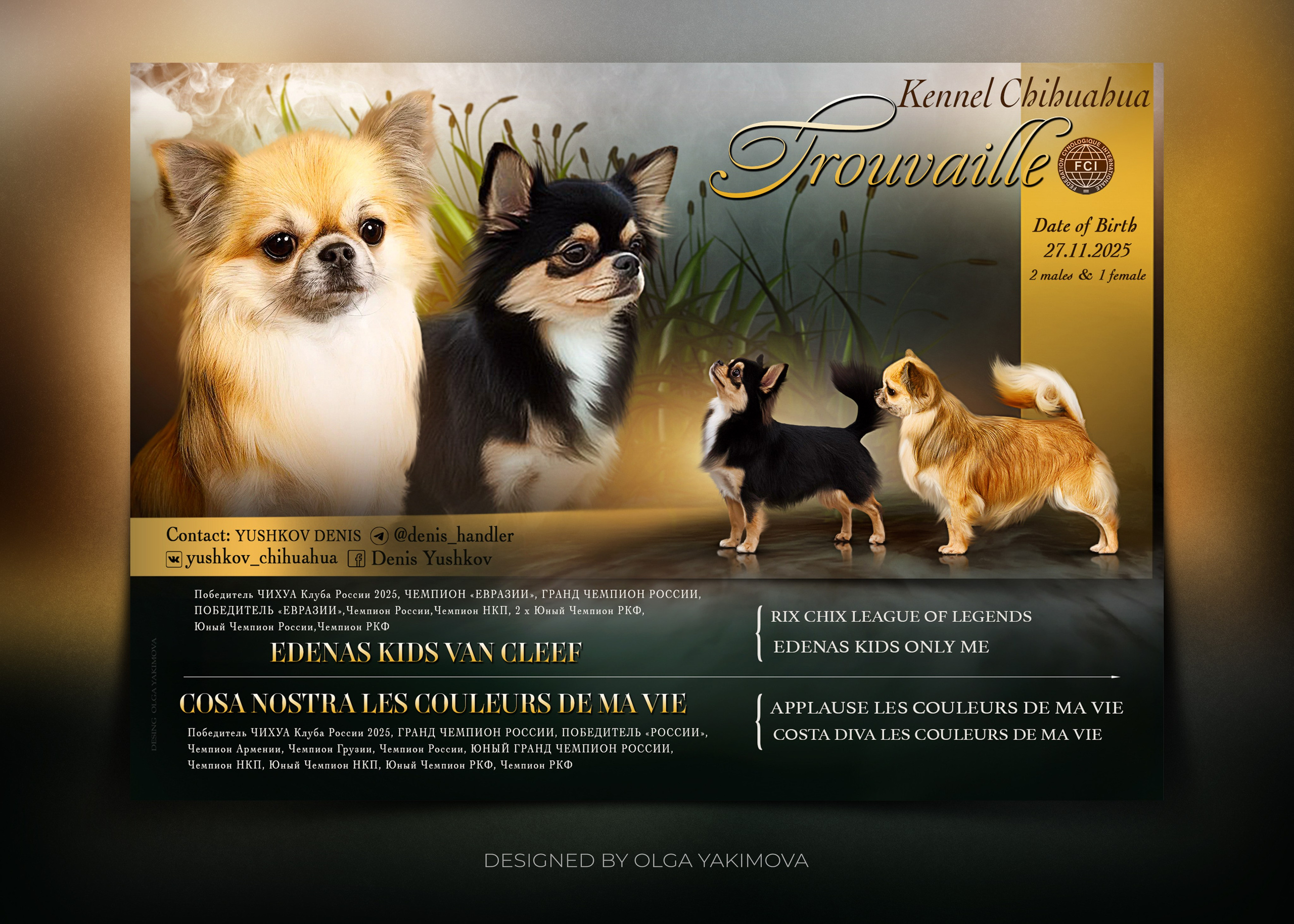 Animal presentation. Фотограф