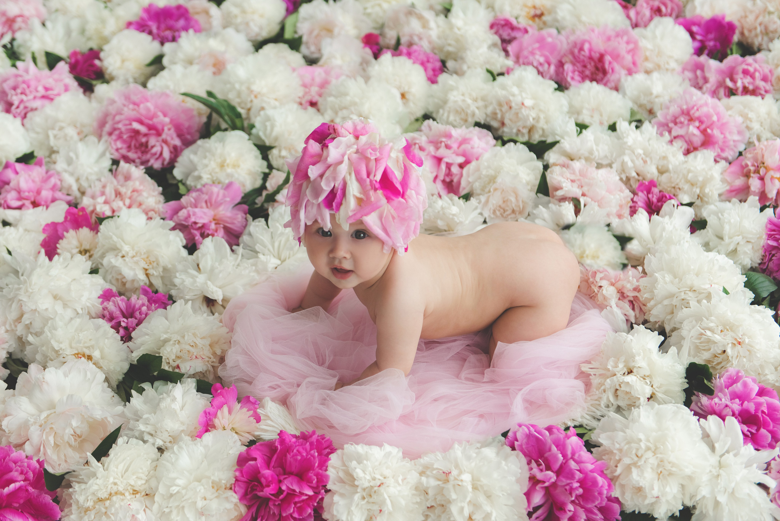 Пиончики. Фотограф новорожденных и детей в Барнауле — Екатерина Шапкина