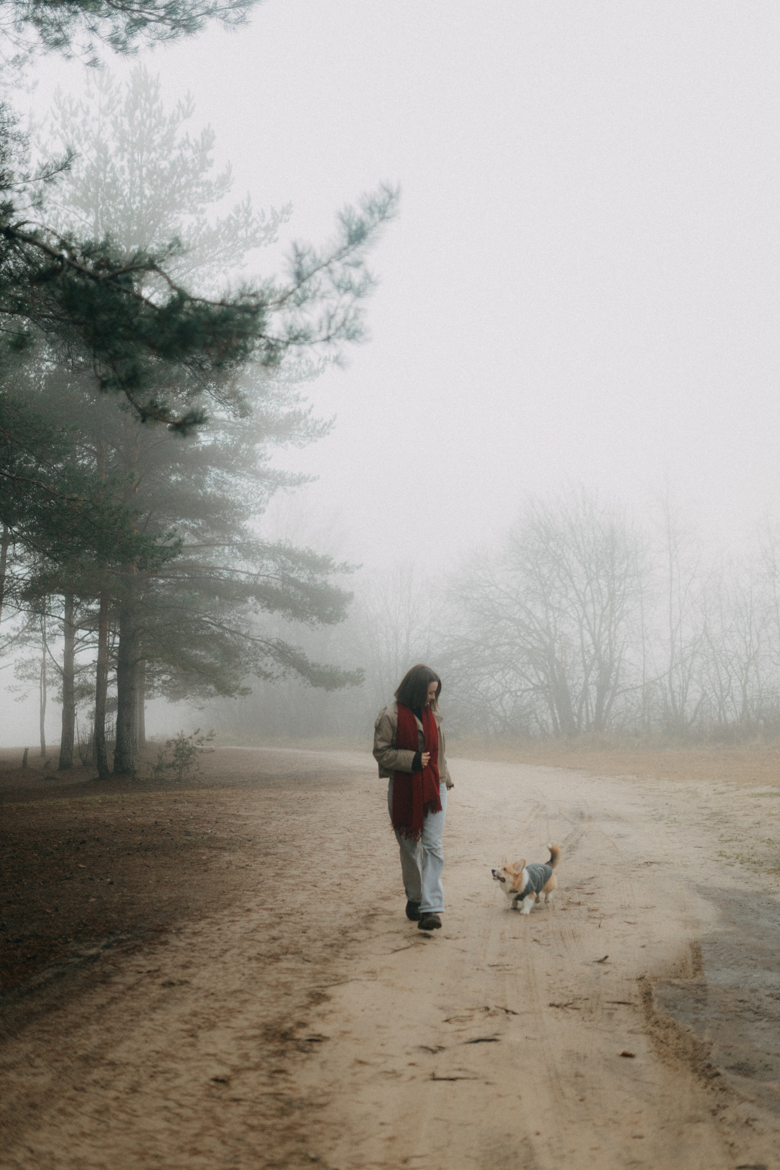 Алина. Фотограф НОГИНСК, Москва, Анастасия Белая