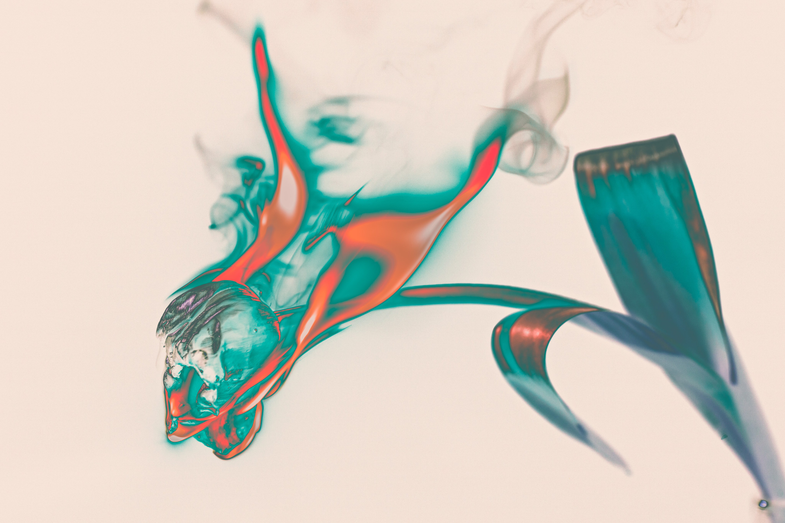 NON-EXISTENT FLOWERS. Фотограф Евгений Чащихин RGB АРХИТЕКТОР в Перми