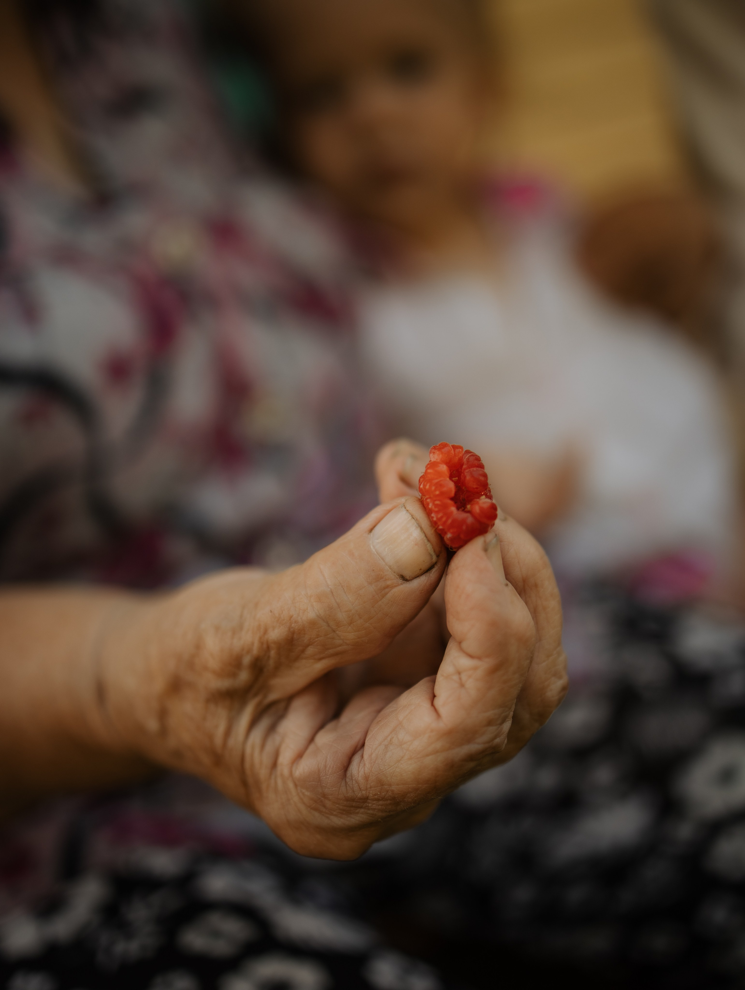 Дачная фотосессия летом у бабушки. Фотограф Углич и Ярославль Ольга Тятюшкина