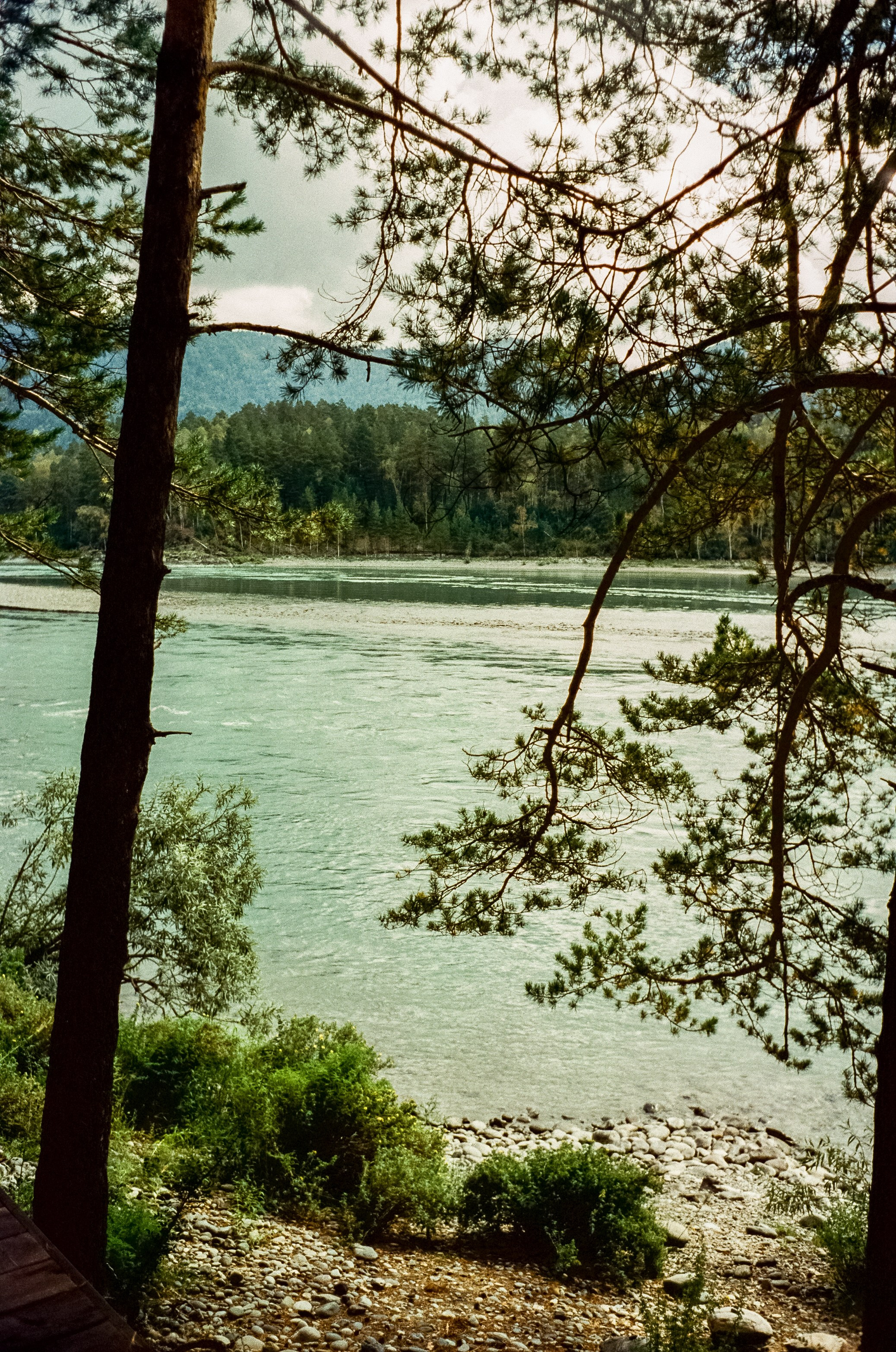 Горный Алтай на пленку