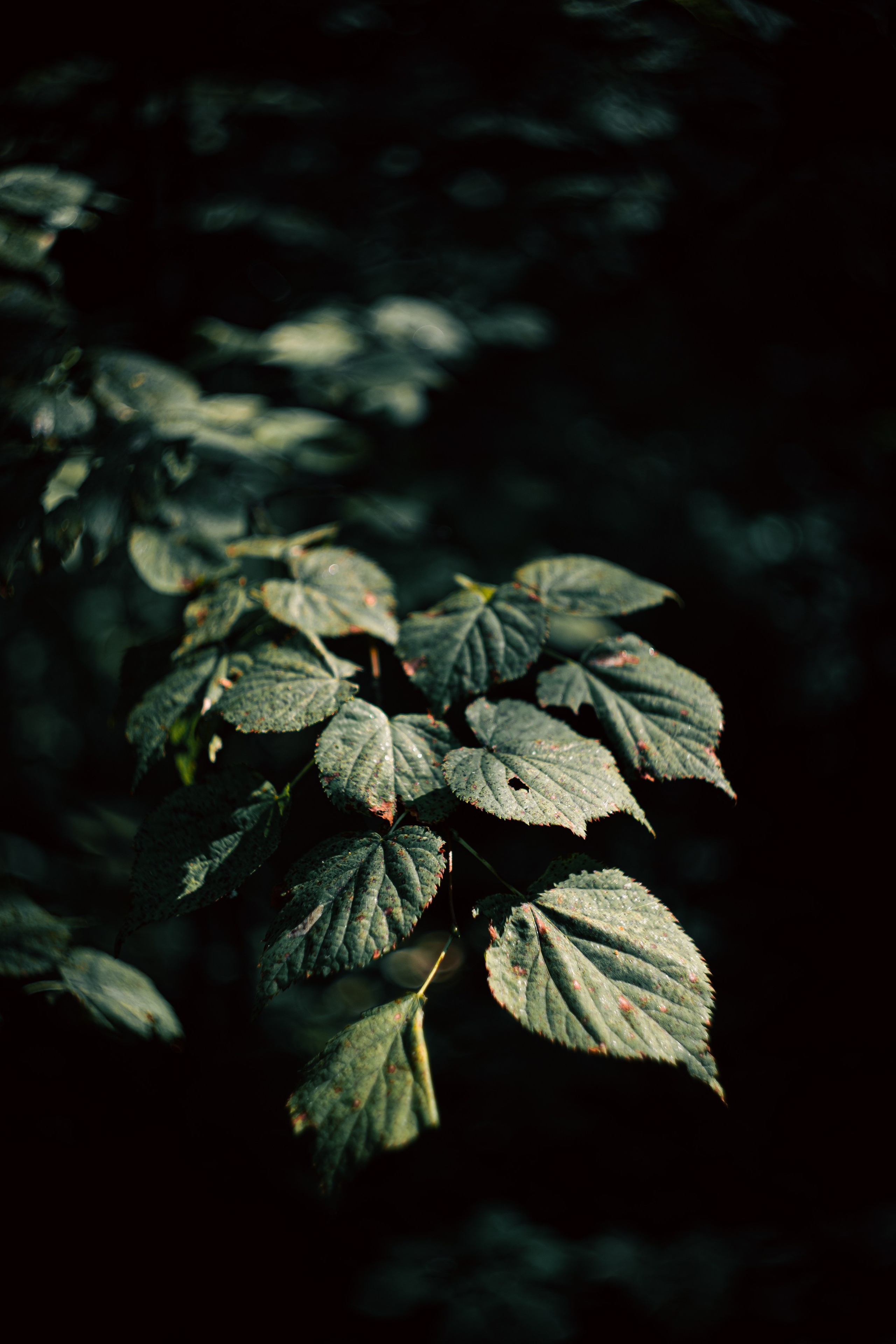 Сентябрь 2024. Efremovaphoto.ru