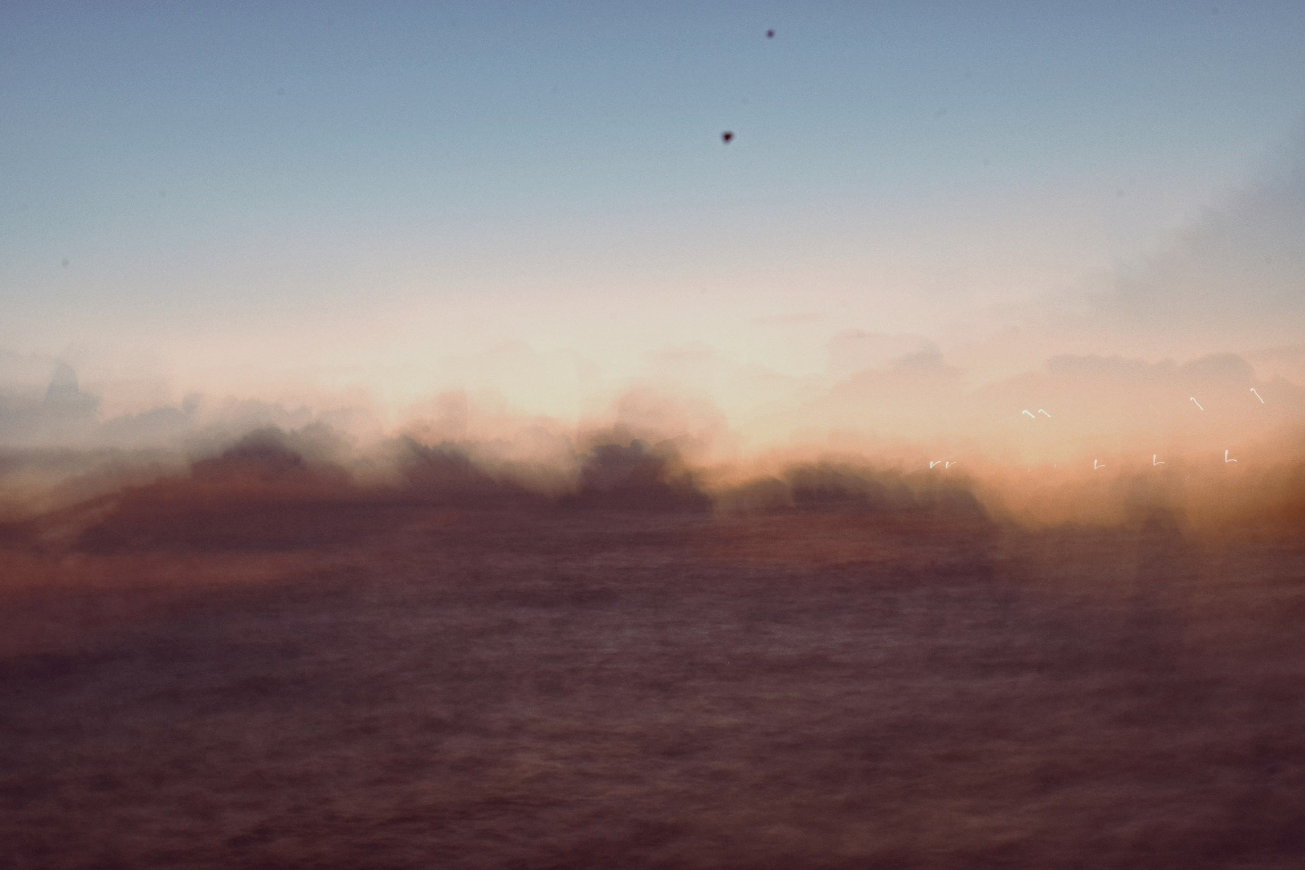 Портрет. Фотограф • Елена Миронова