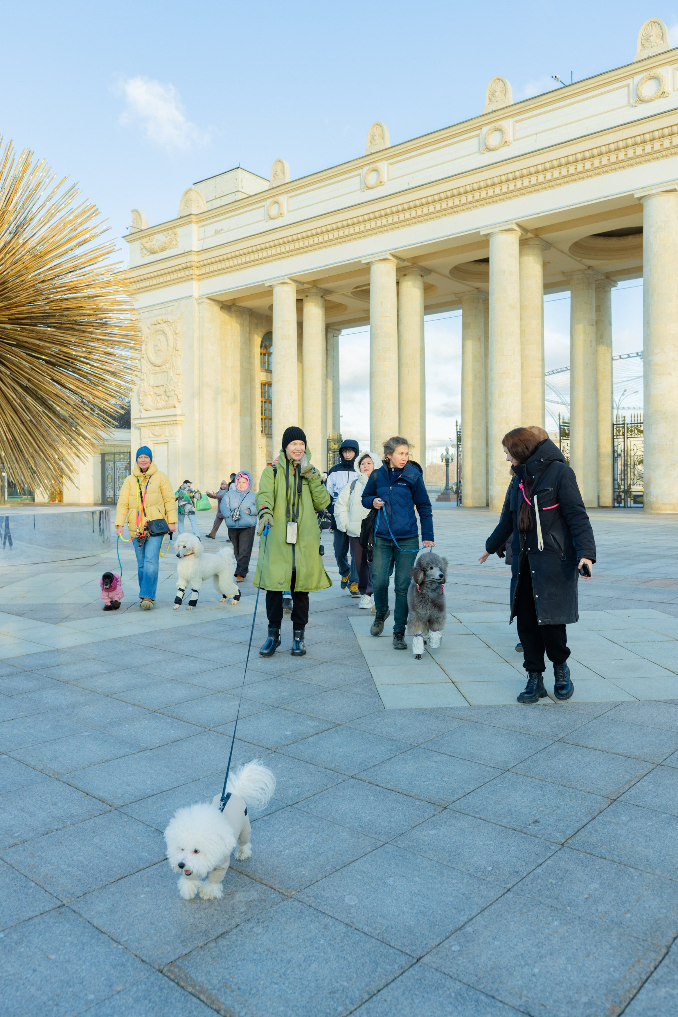 Клуб грумеров (прогулка и семинары). Виктория Зудина — фотограф в Москве