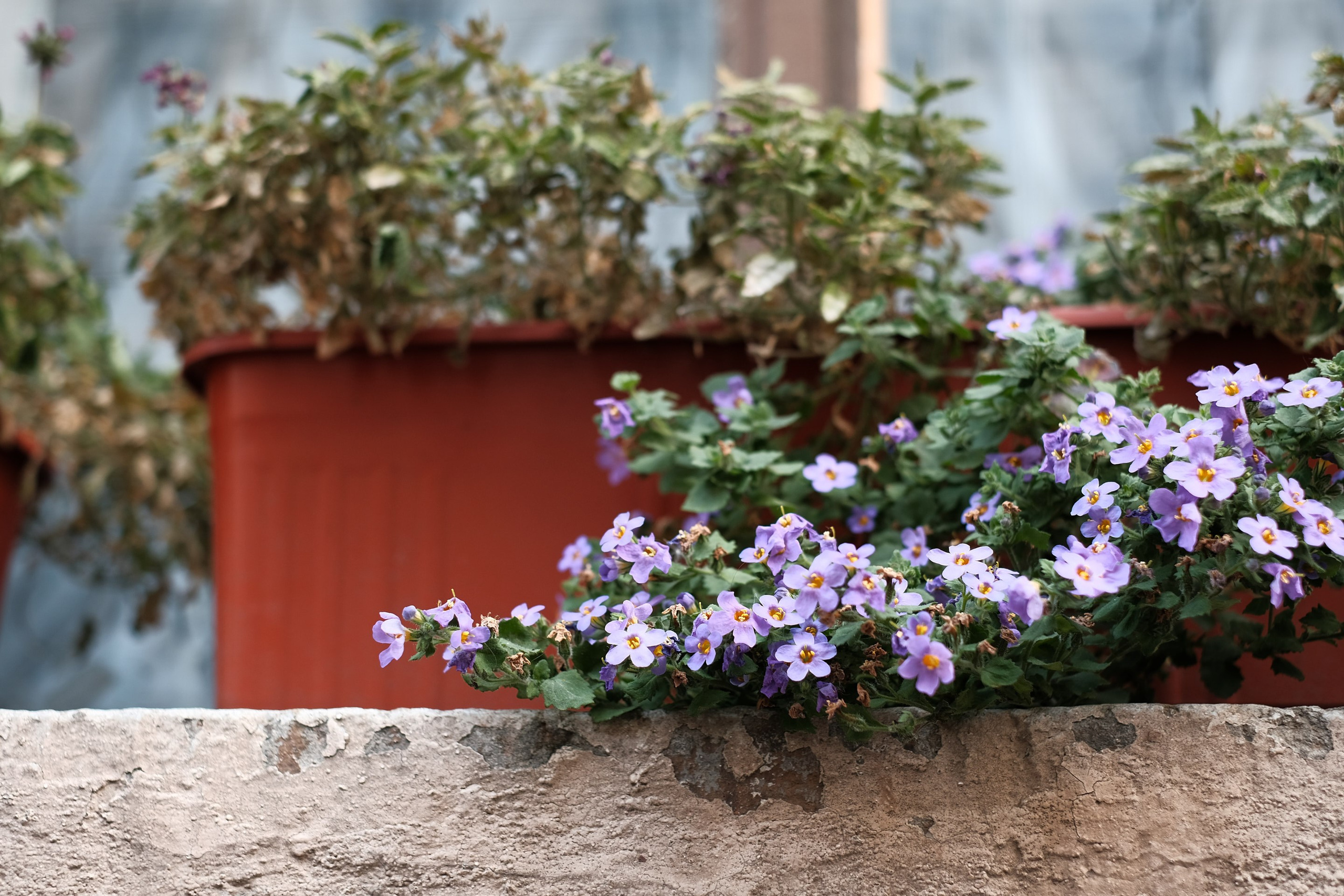 2021.10. Фотограф Алексей Алексеев