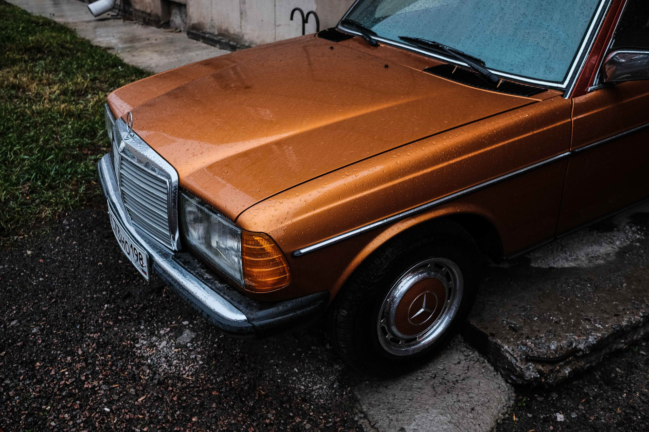 2021.11. Фотограф Алексей Алексеев