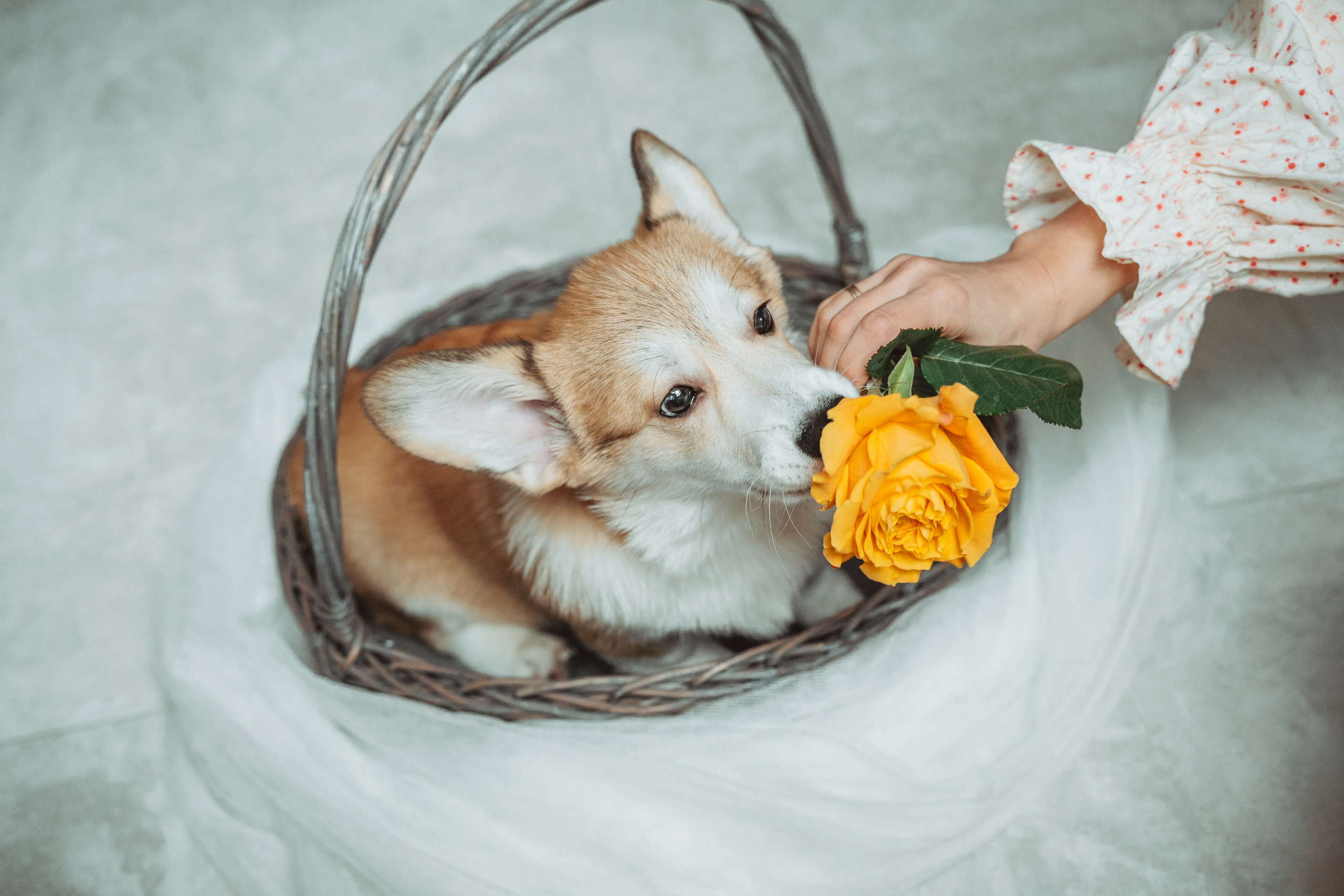 Портретный фотограф Санкт-Петербург. Свадебный, семейный, портретный, репортажный фотограф в Санкт-Петербурге