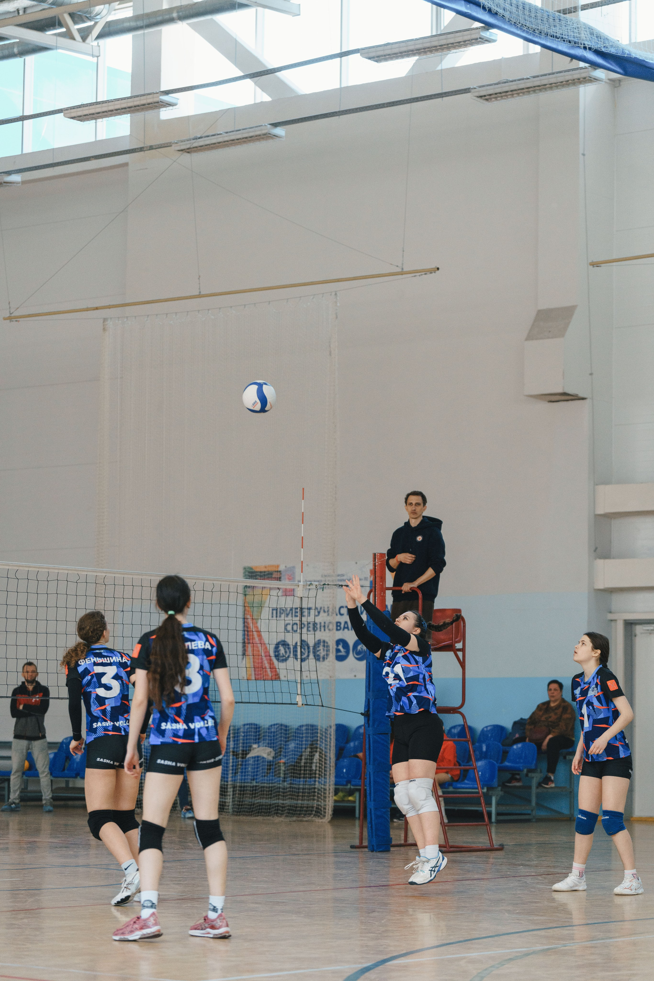 Волейбол торус. Фотограф-анималист в Санкт-Петербурге
