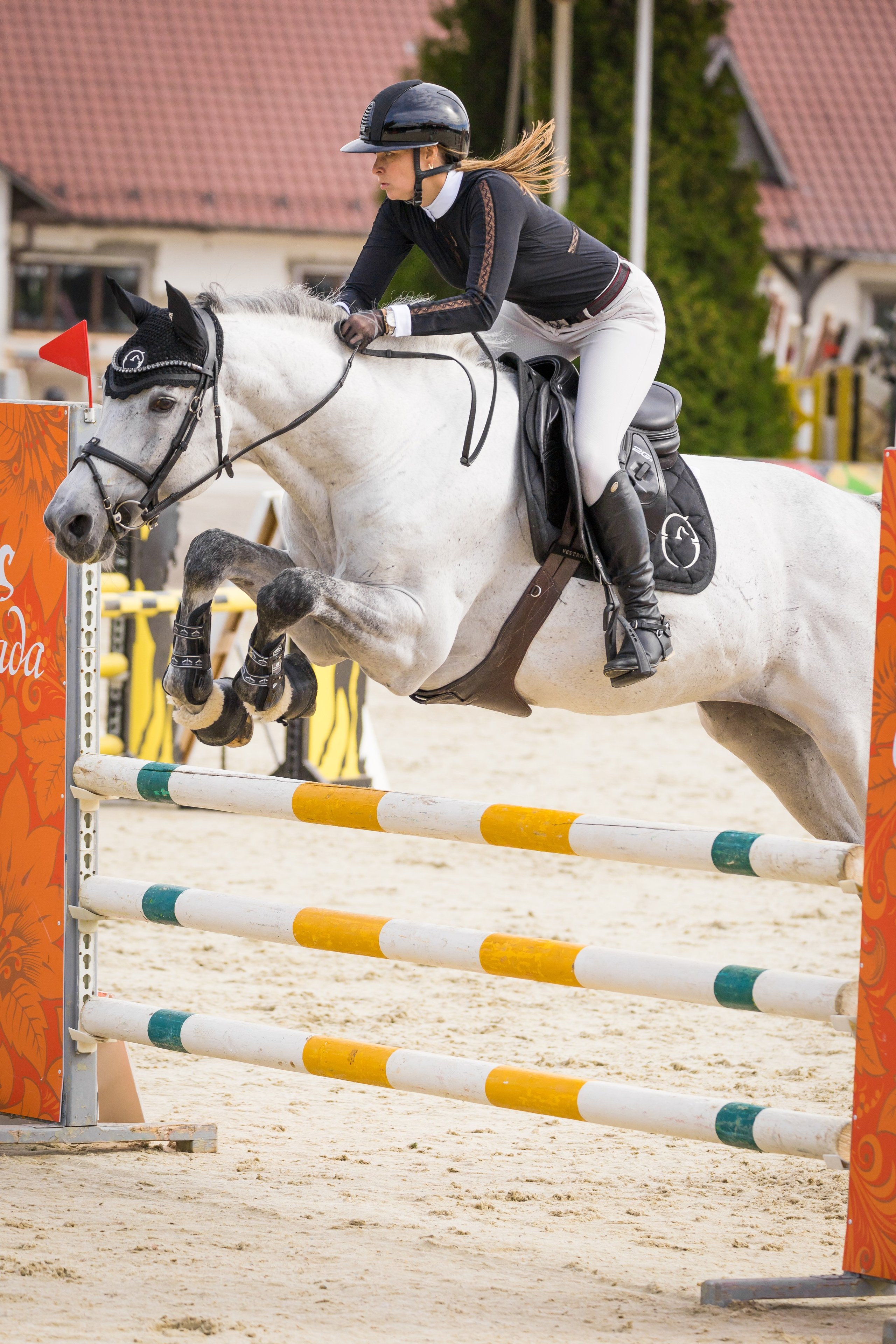 Конный спорт. Photomantis