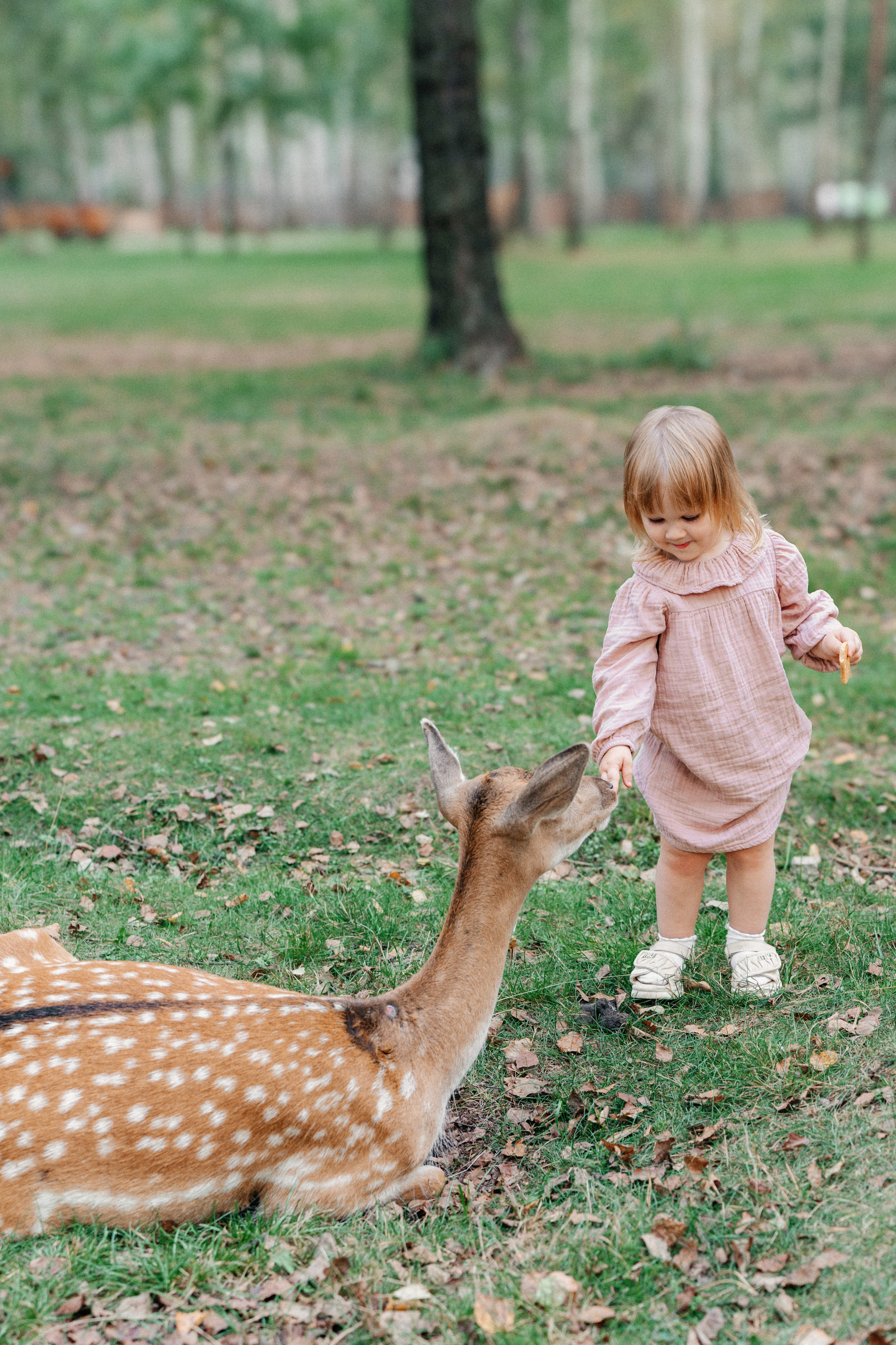 Диприз — в мире диких животных. Ваш семейный фотограф в Минске — Вика Трегубова
