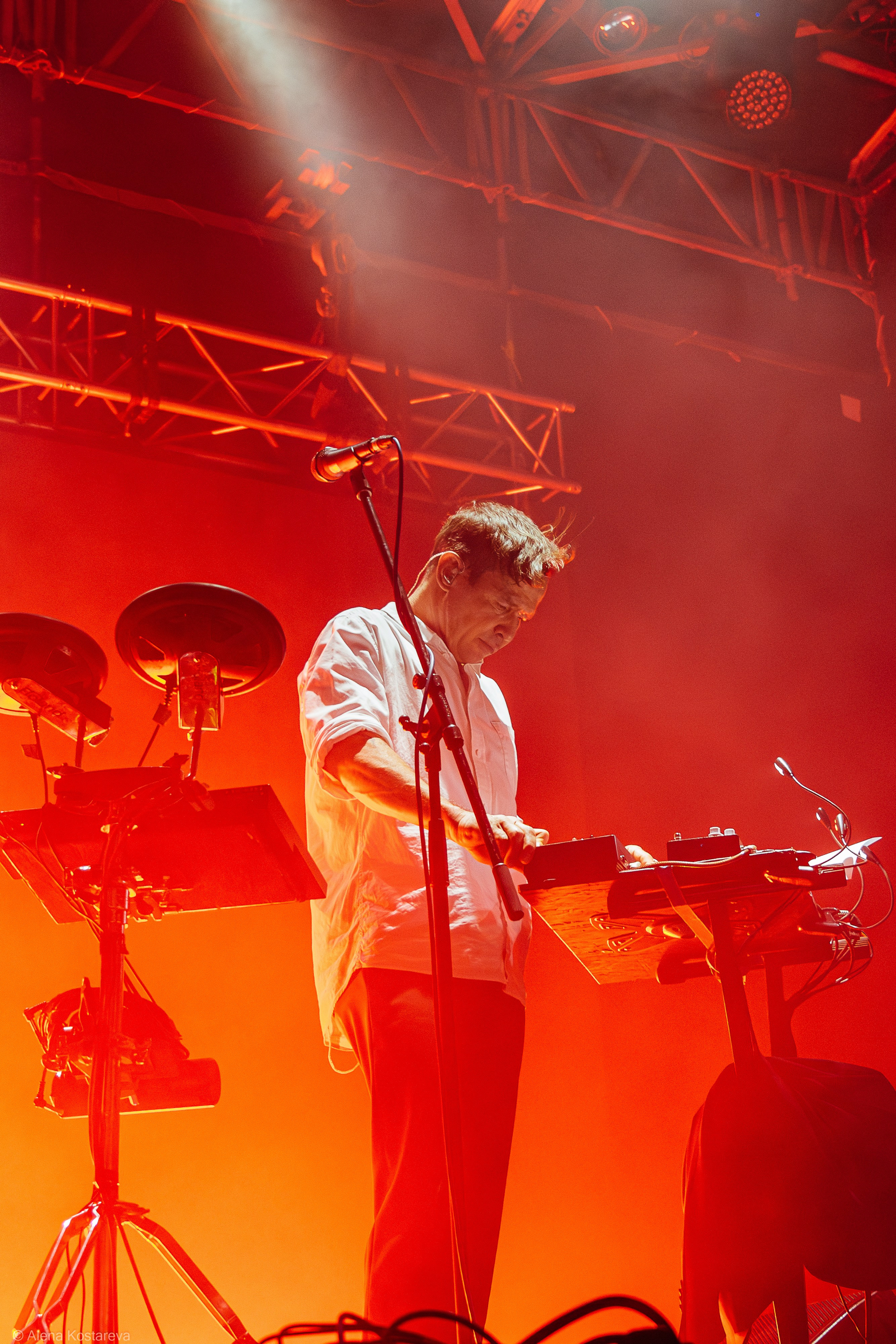 Dolphin. Алена Костарева. Фотограф в Ростове-на-Дону