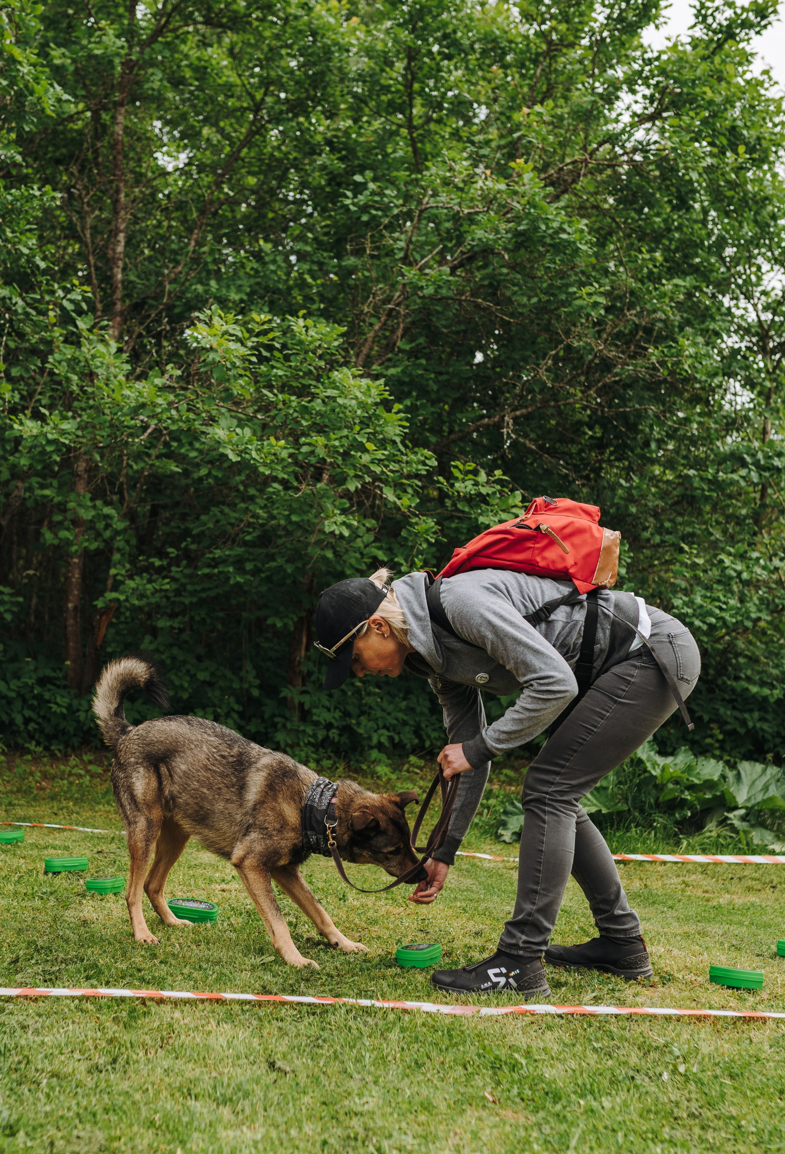 Соревнования по ноузворку. Фотограф анималист в Спб недорого Олеся Майорова