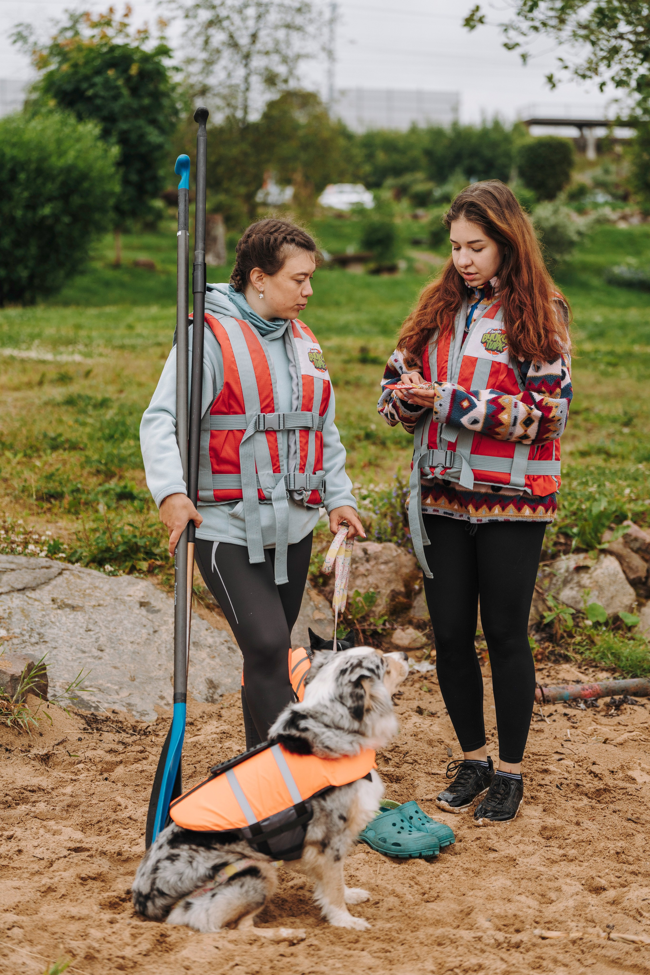 Катание на сапах с собаками. Фотограф анималист в Спб недорого Олеся Майорова