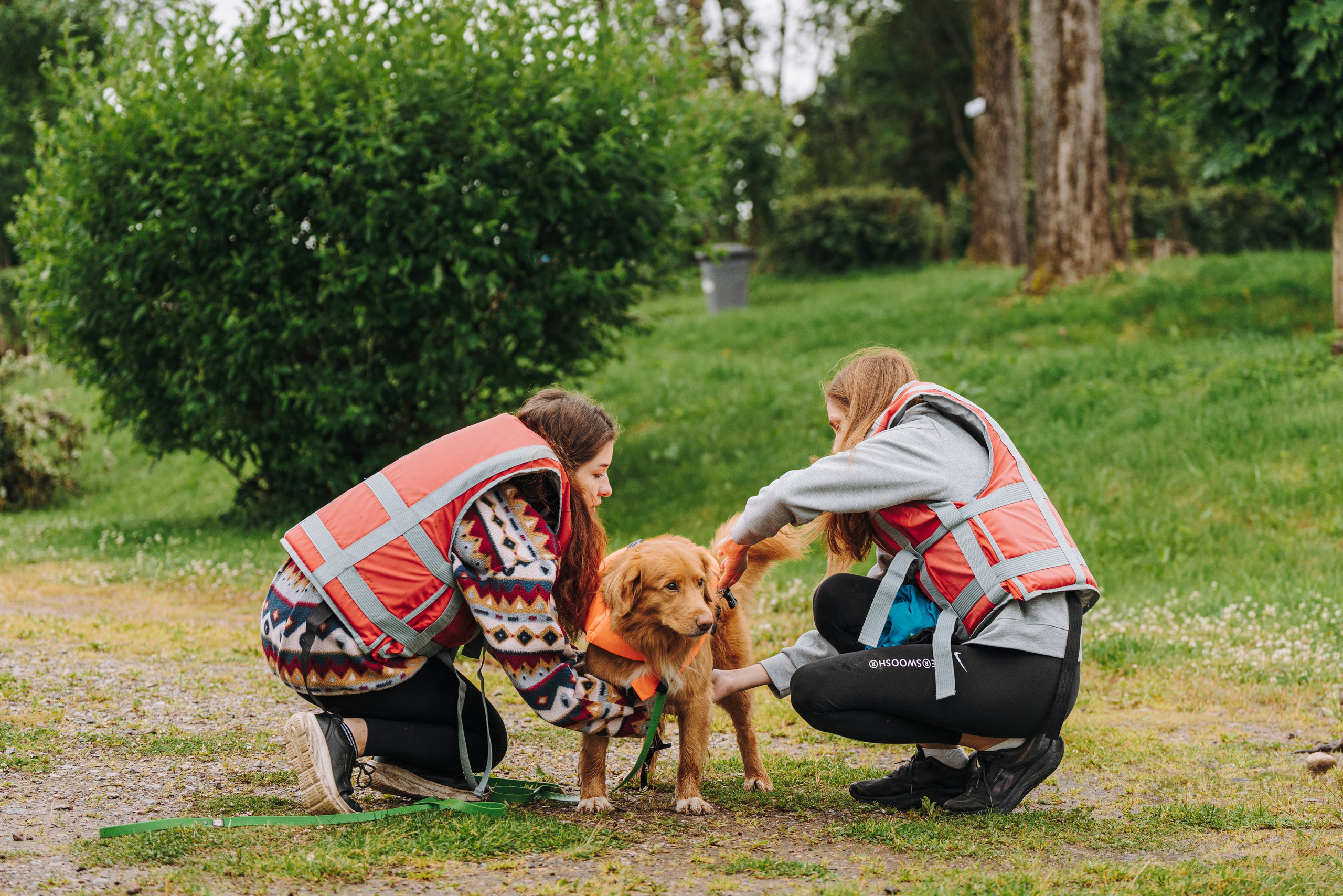 Катание на сапах с собаками. Фотограф анималист в Спб недорого Олеся Майорова
