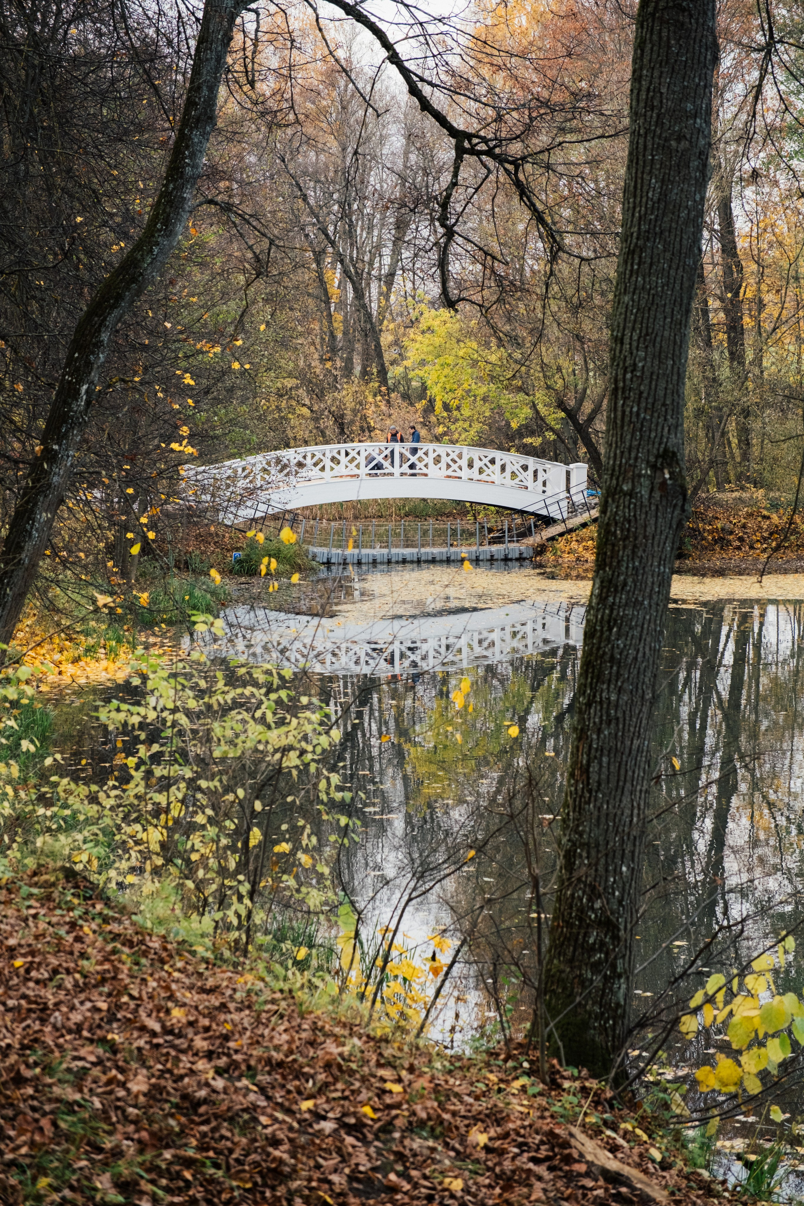 Фотосессия в Остафьево