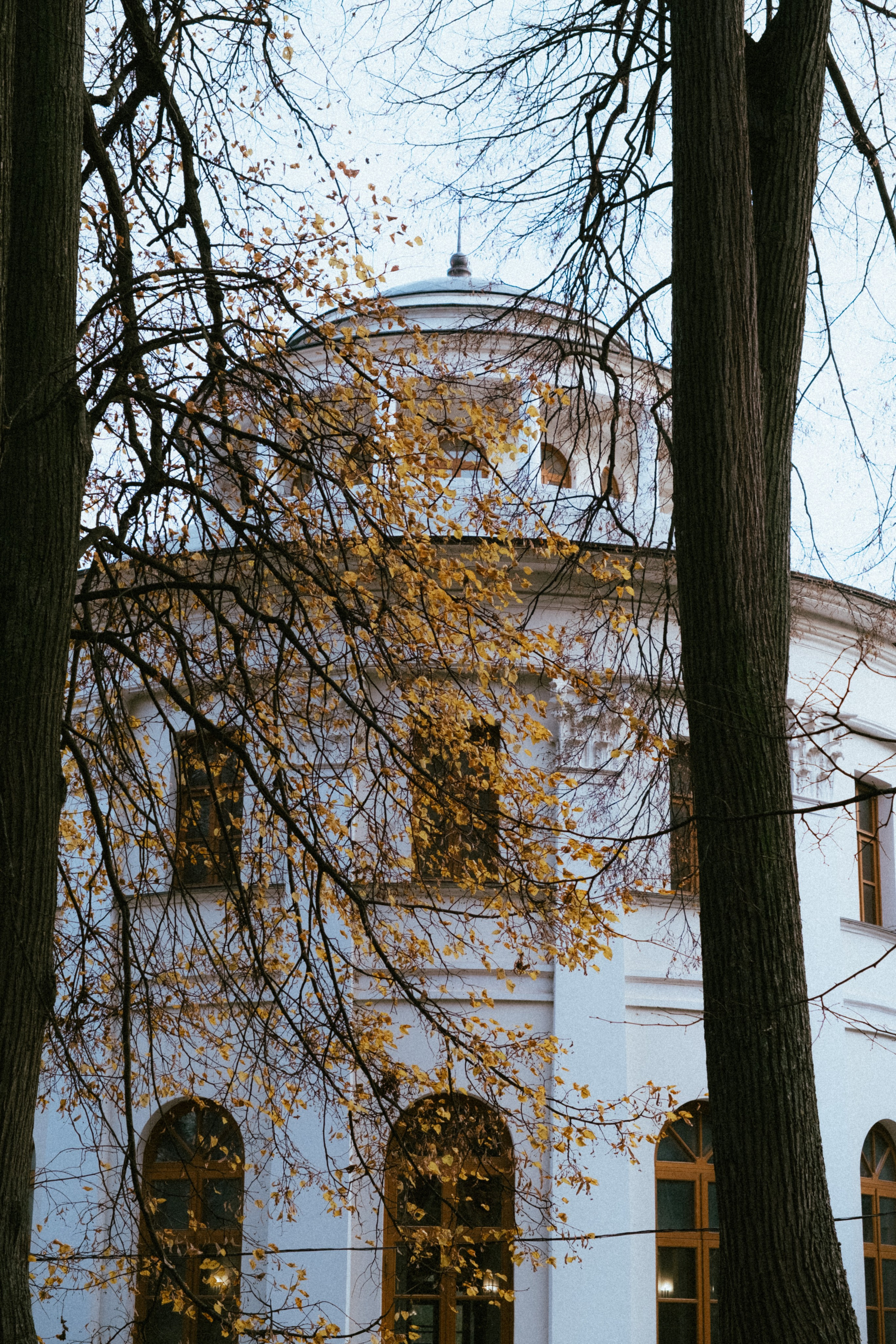 Фотосессия в Остафьево
