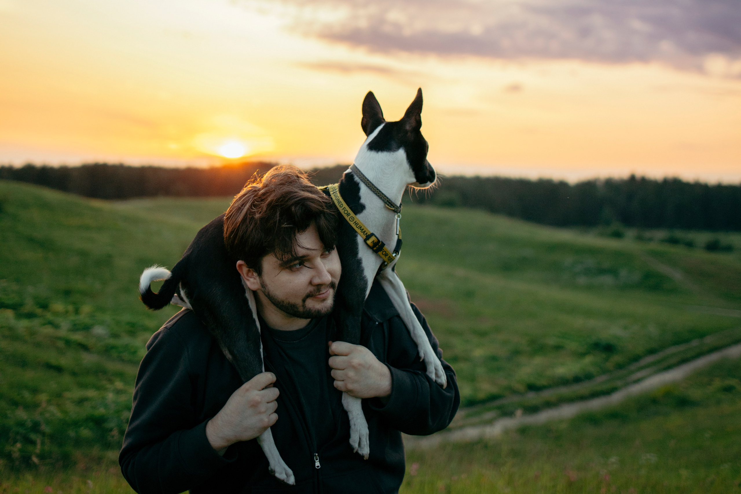 Итачи и его семья 🐾. Фотограф-анималист в Санкт-Петеребурге Титова Алиса