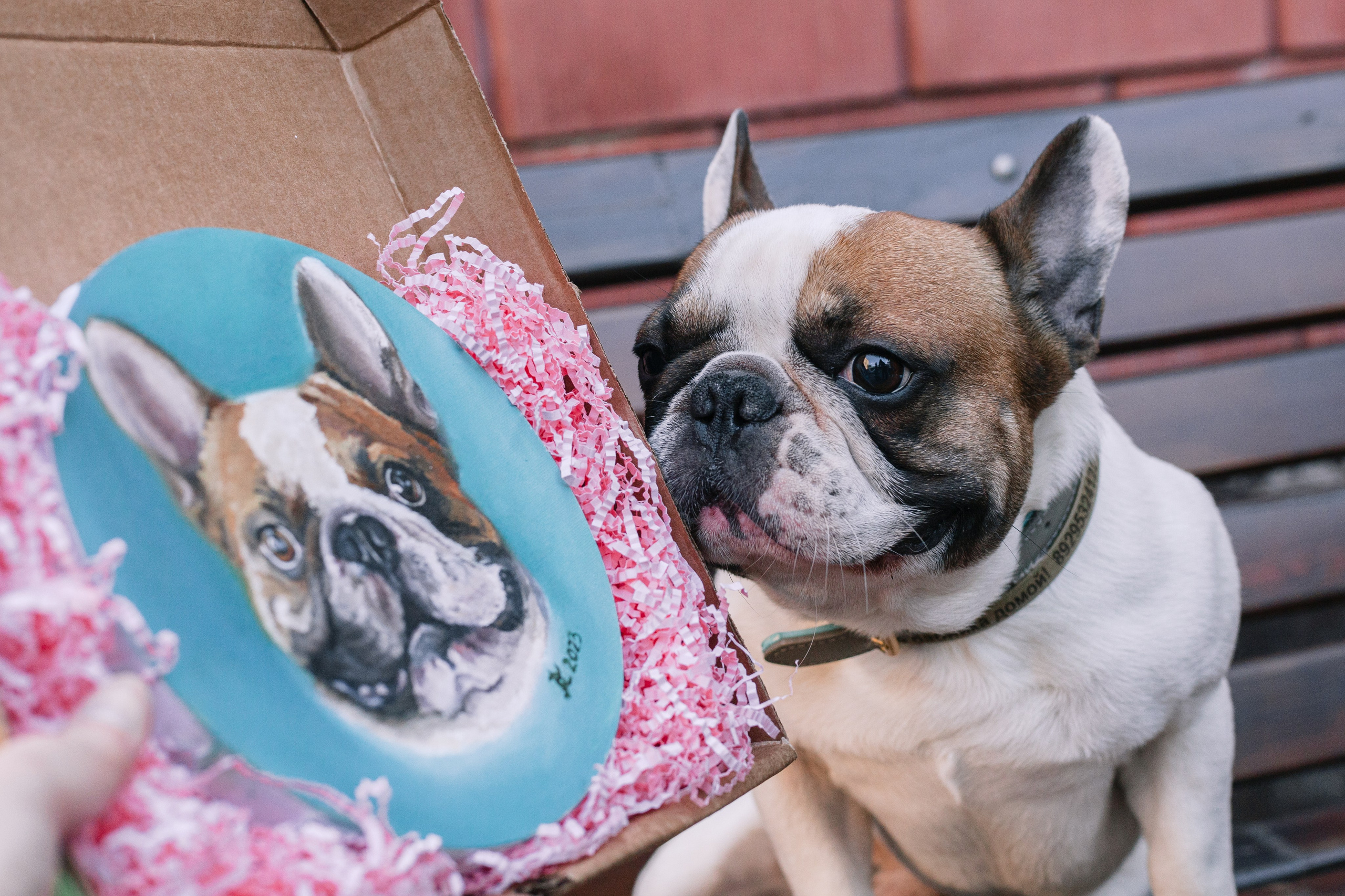 Бульбалл 23.04.2023. Фотограф-анималист Татьяна Степанова