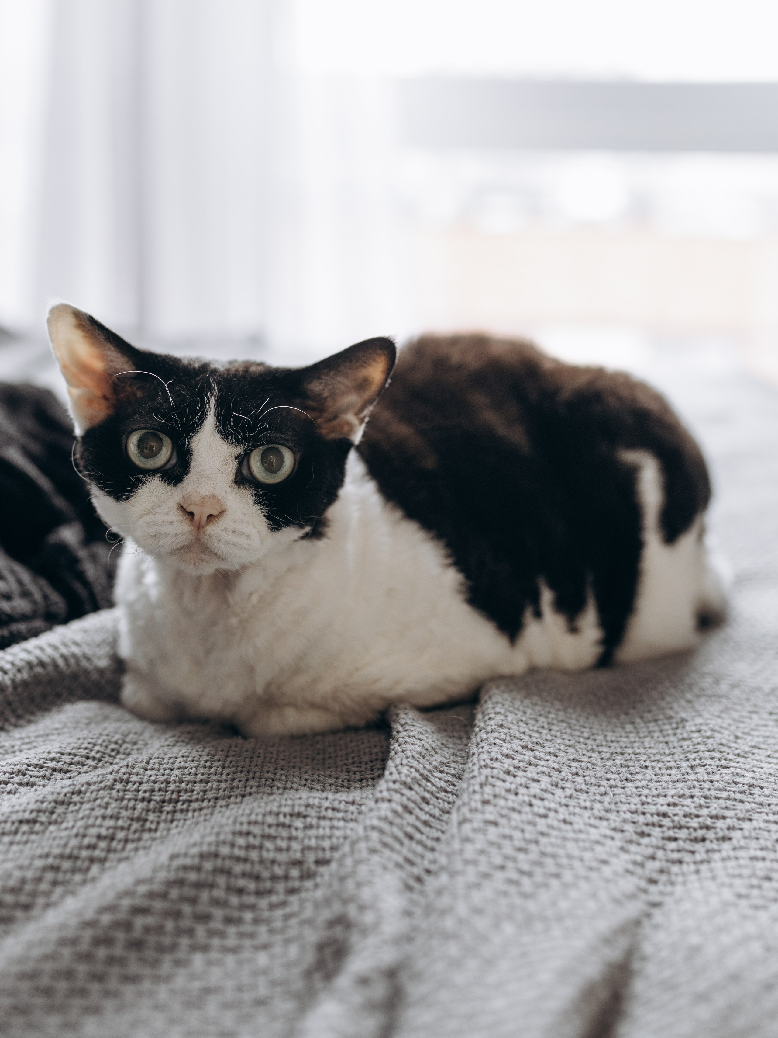 День рождения Леона. Фотограф Людмила Оюн