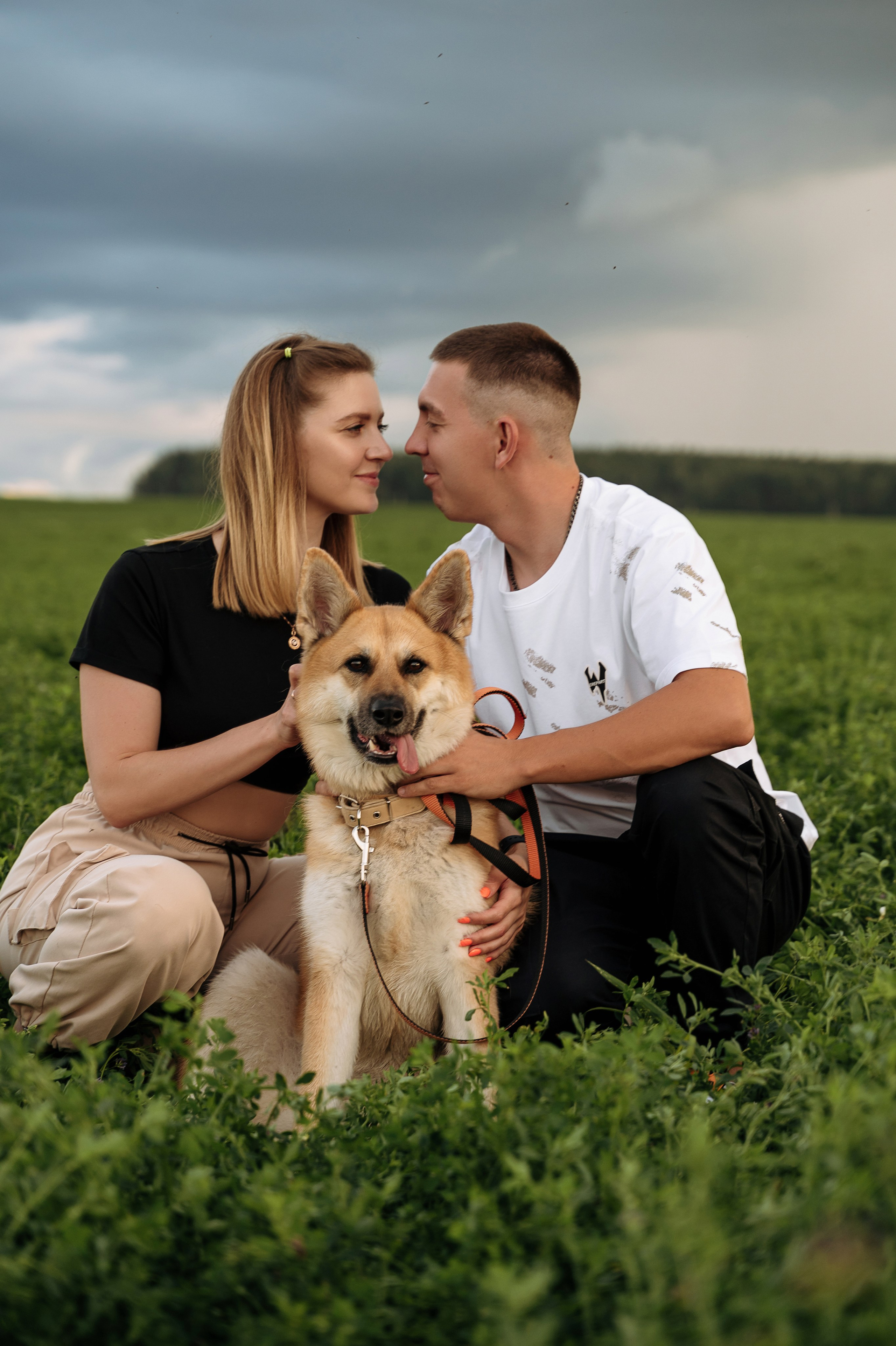 Летняя фотосессия в поле с рыжей собакой