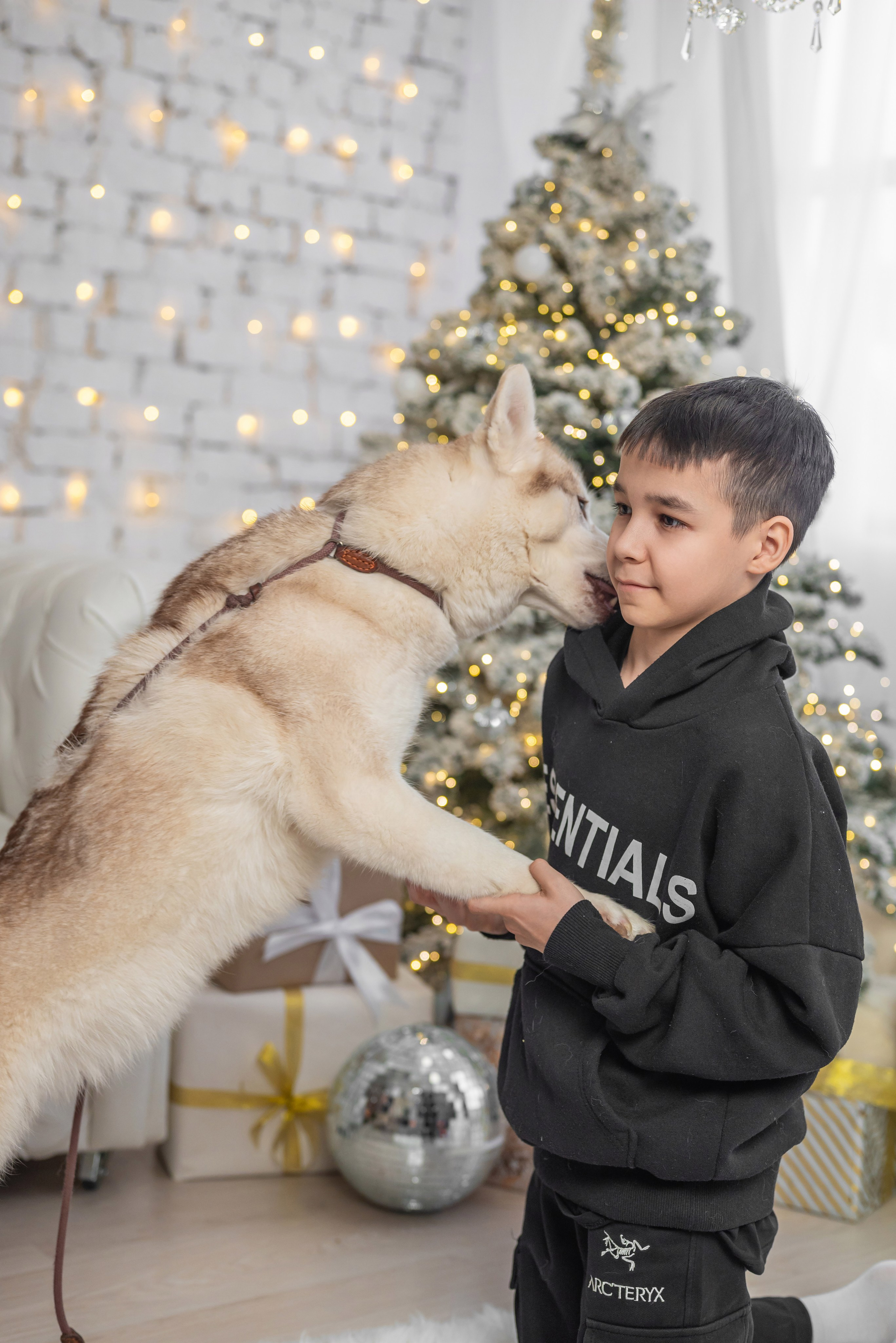 Фотопроект с хаски. Фотограф в городе Салават