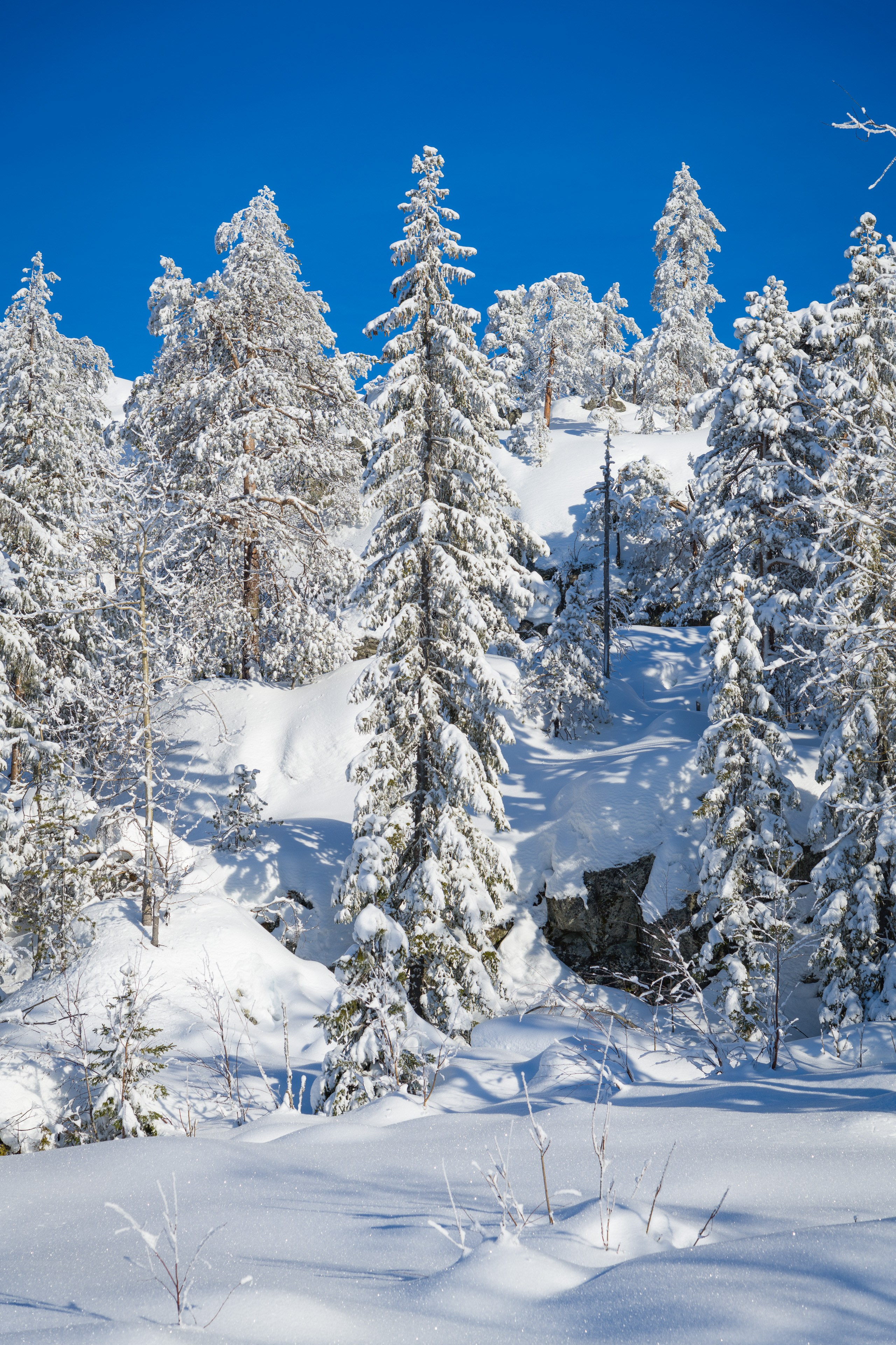 Зима. Северные Ночи