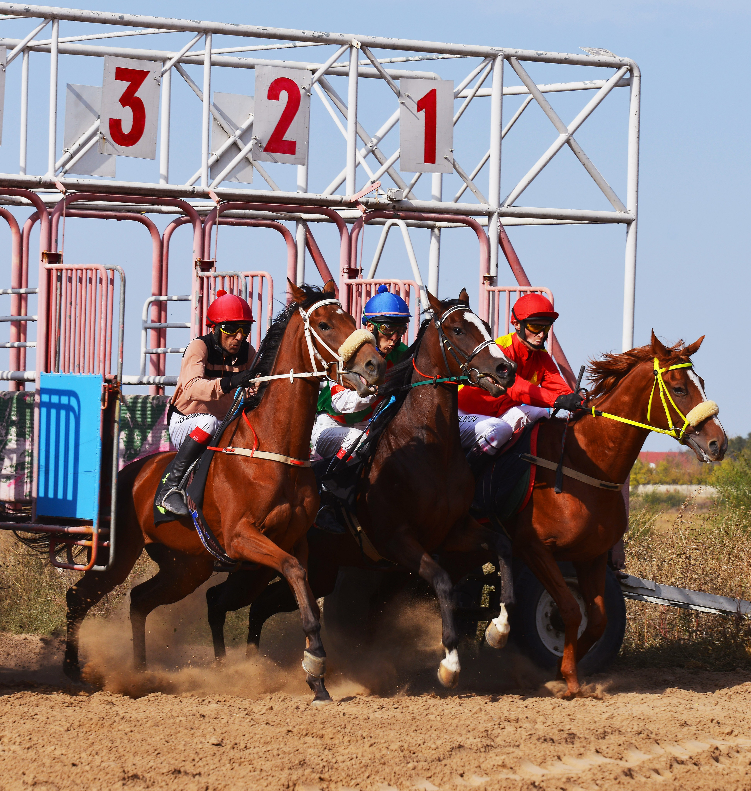 Скачки. Фотосъёмка. Фотограф Сергей Авдеев-семейный и детский фотограф в Алматы