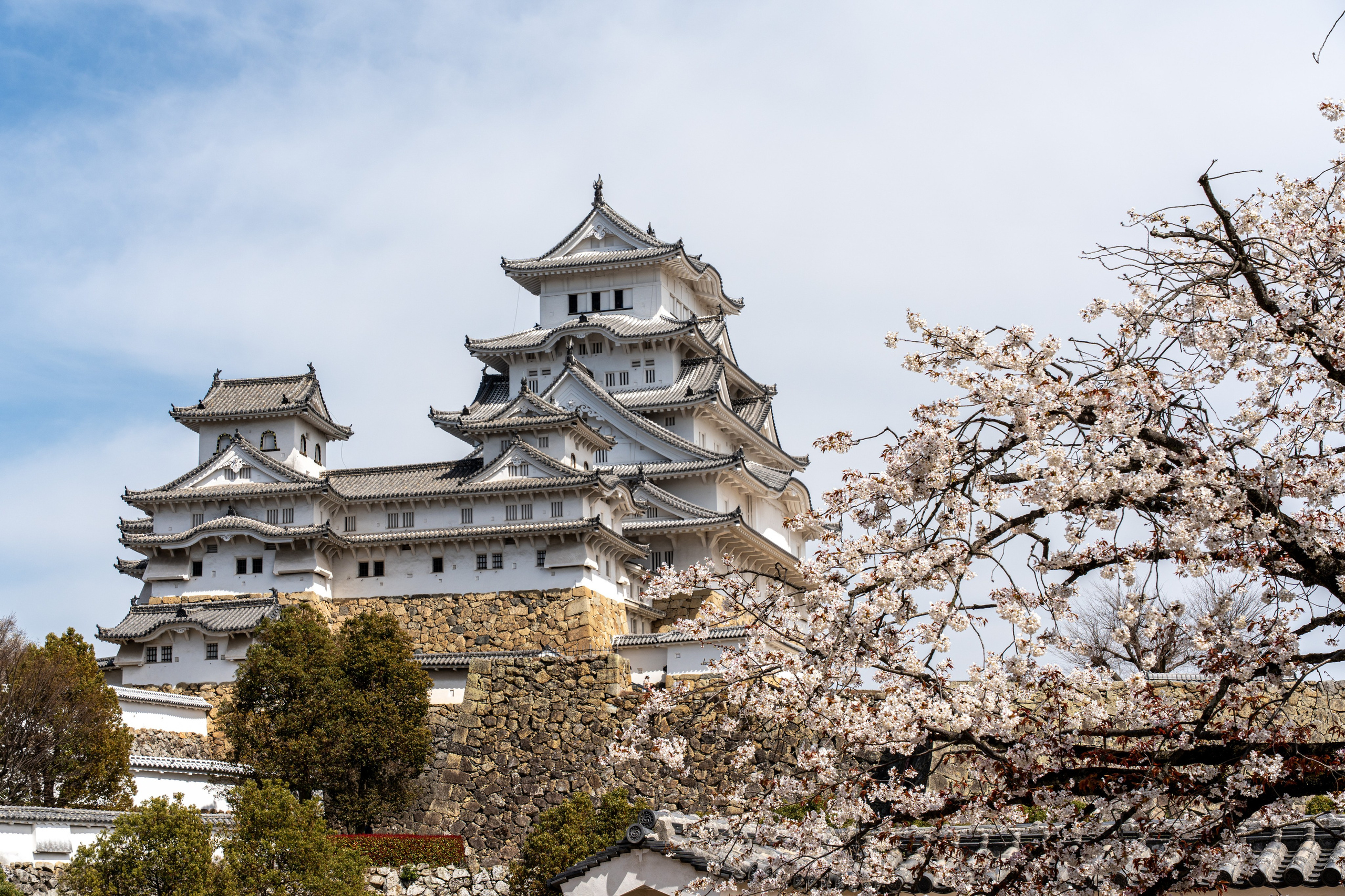 Япония, сакура. Творческие сьемки
