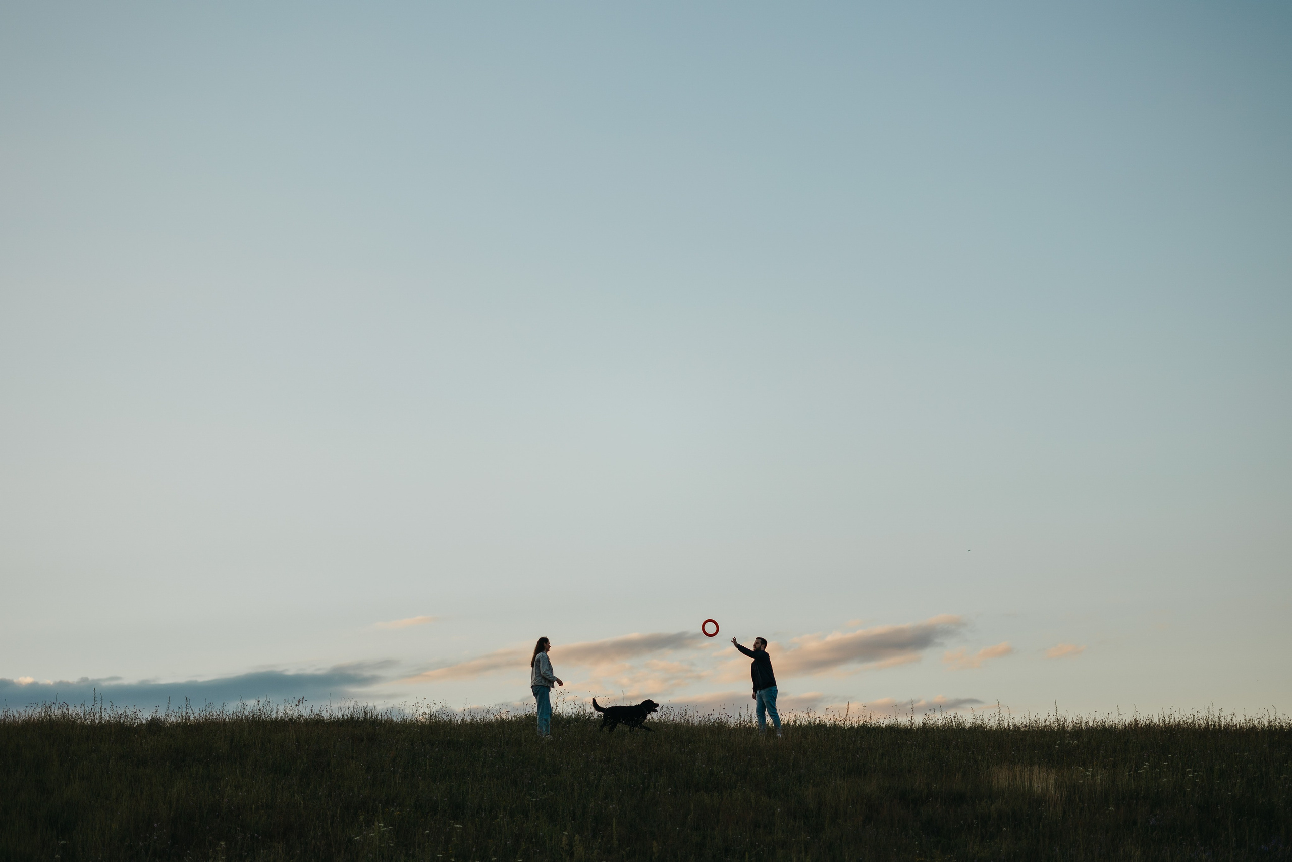Бомбей и его семья. Фотограф — Анималист | Санкт-Петербург