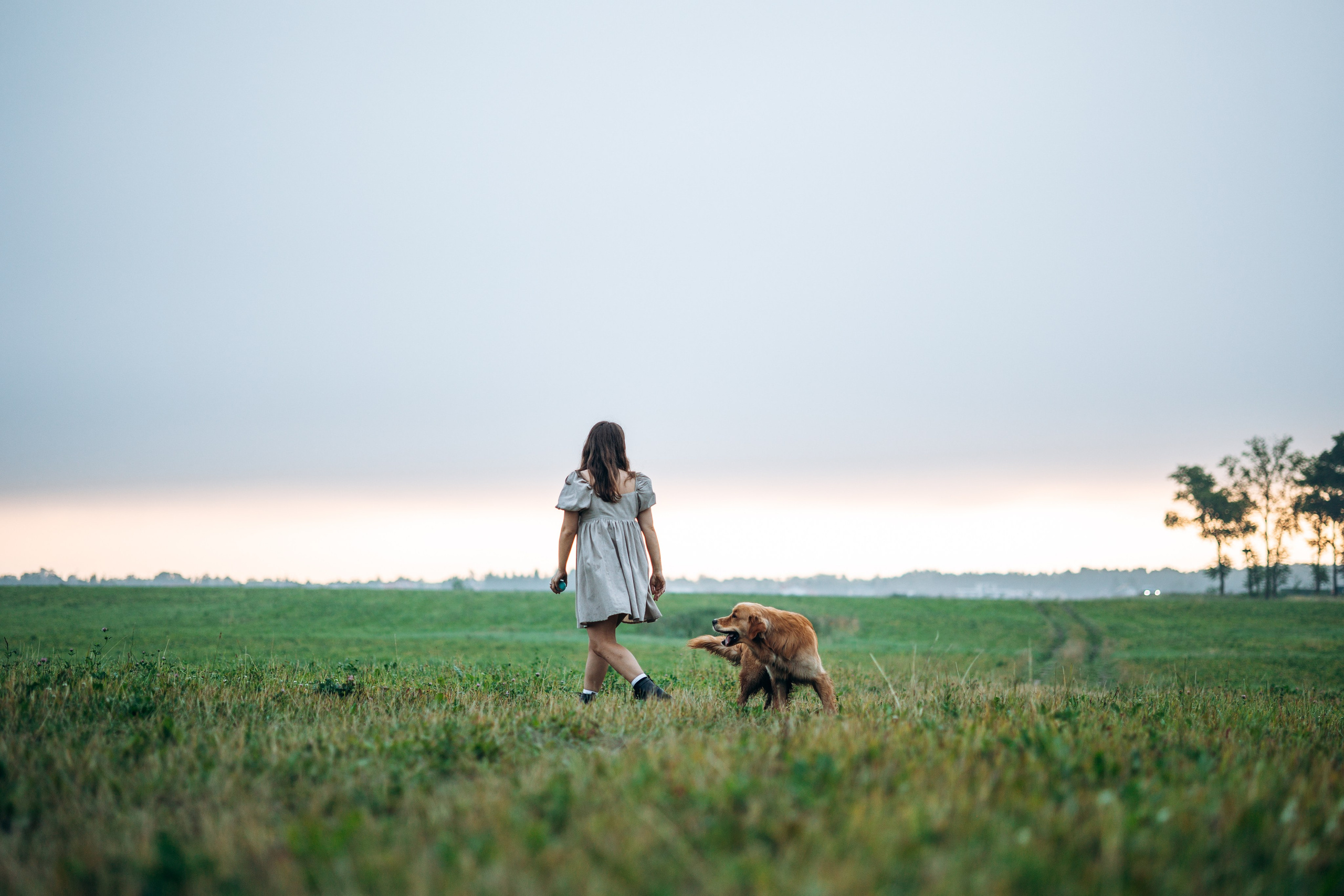 Аня и Ноллан. Фотограф — Анималист | Санкт-Петербург