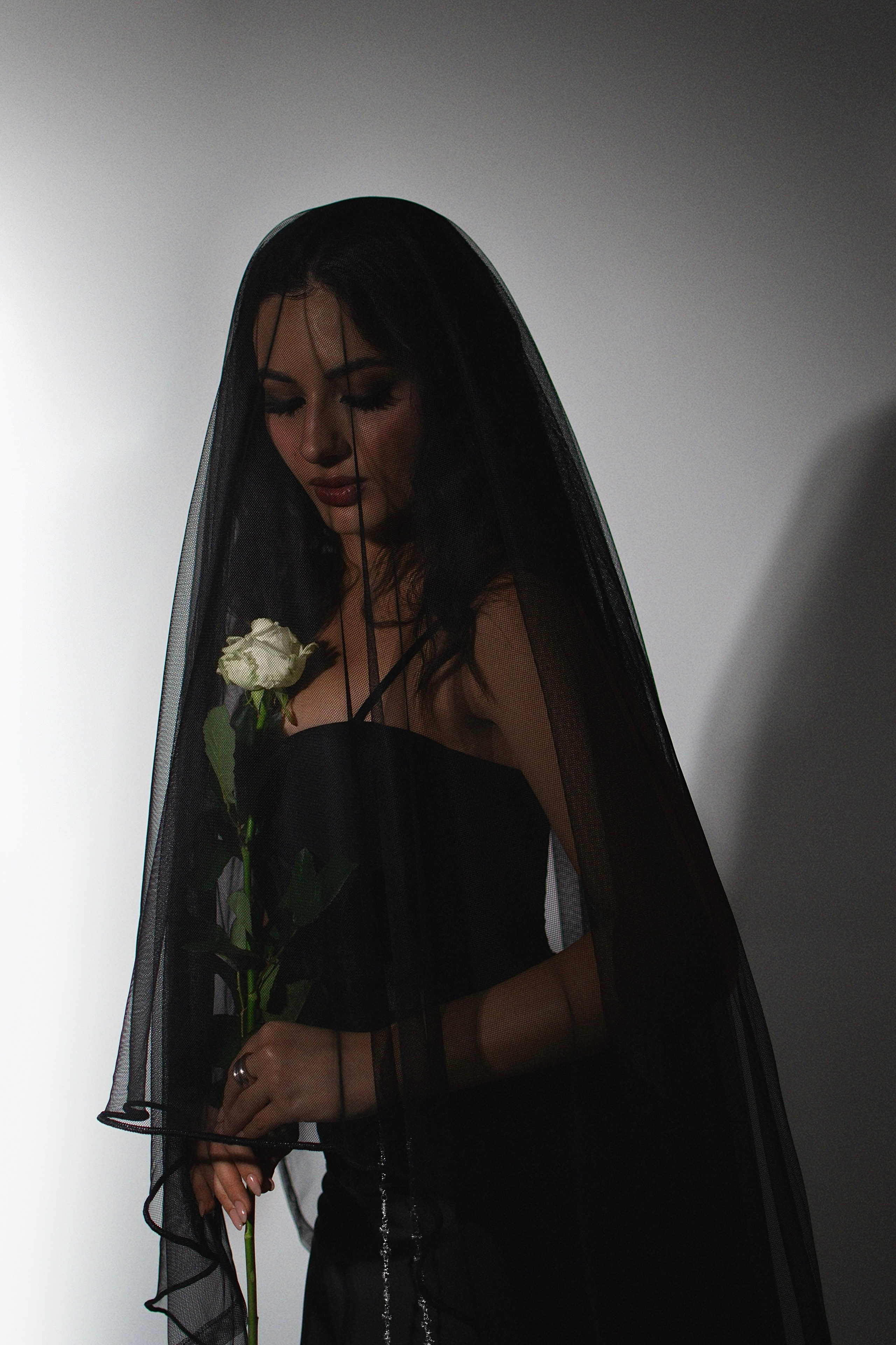 Morticia Addams. Фотограф Медведева Христина г. Санкт-Петербург