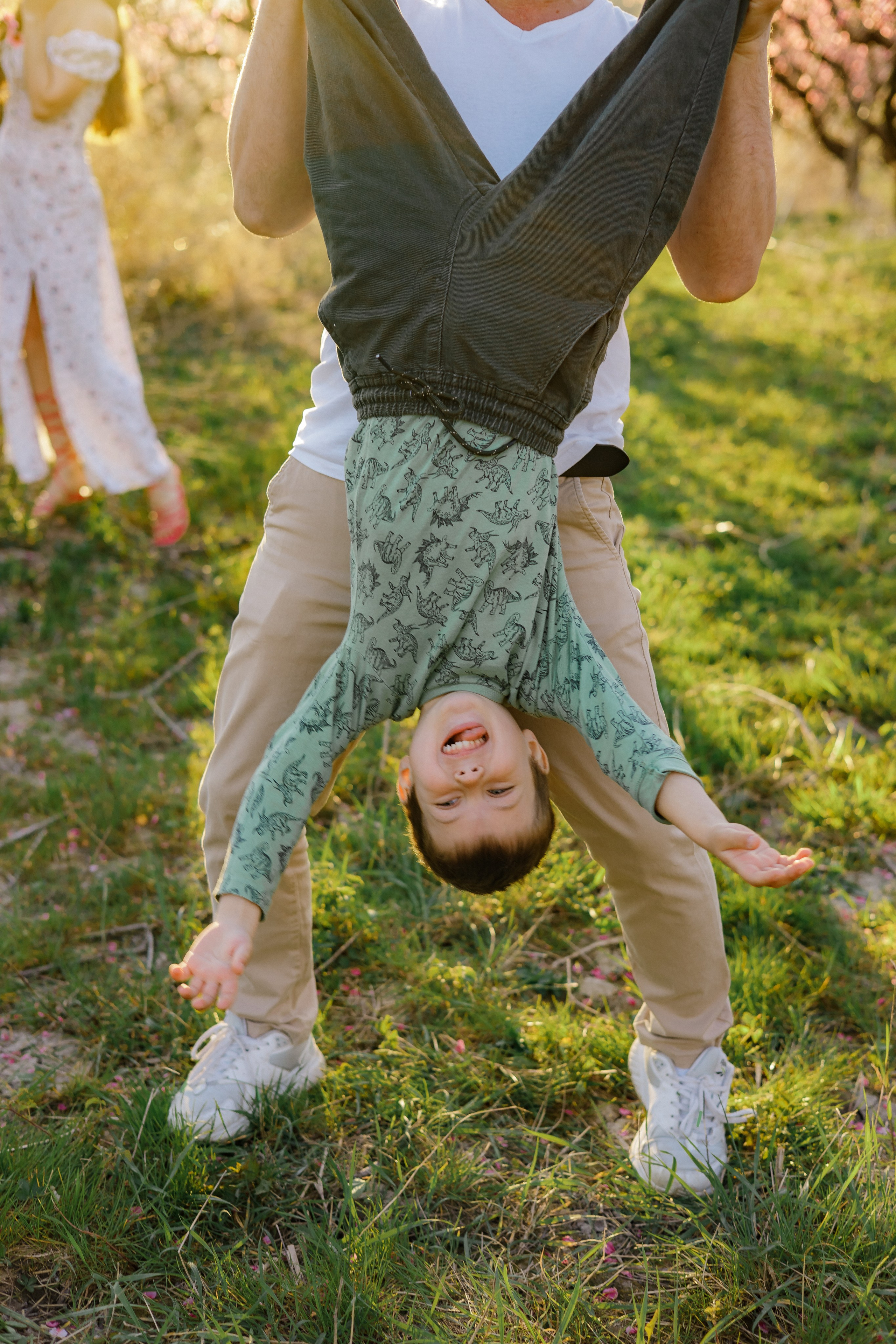 Закат в персиковом саду