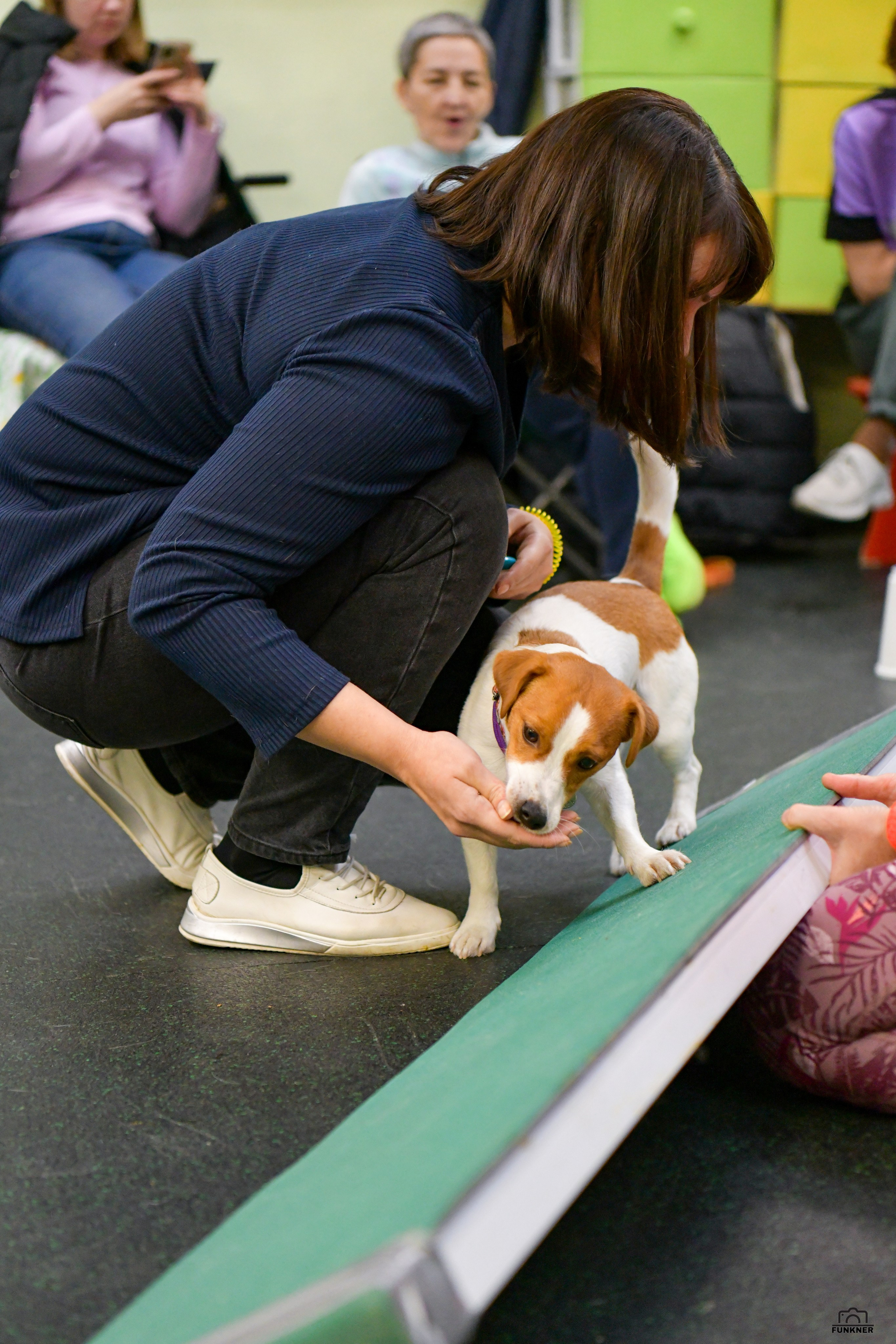 Кинологический клуб «Бодрый хвост». Свой взгляд через объектив